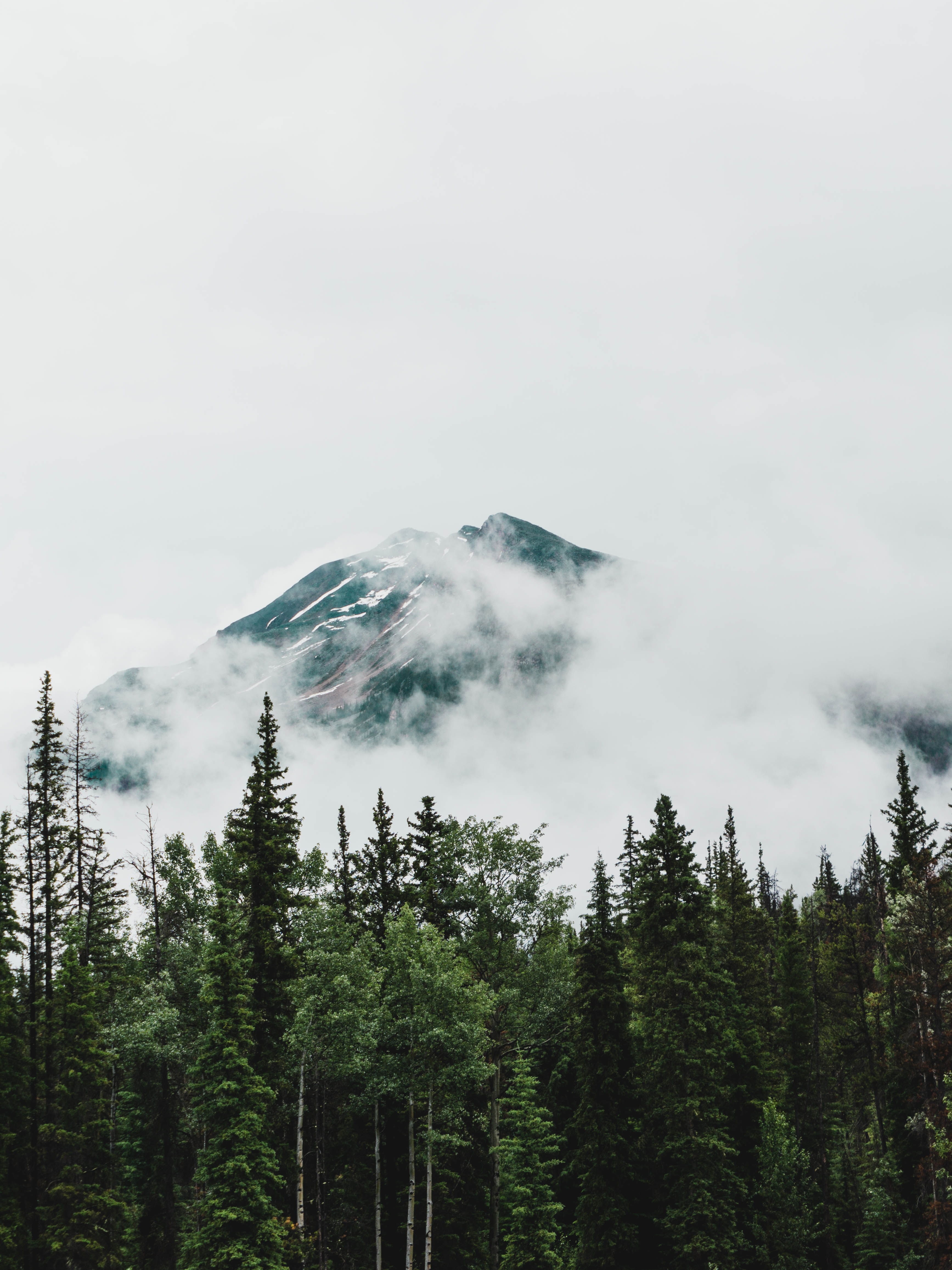 clouds, nature, trees, mountain, vertex, top