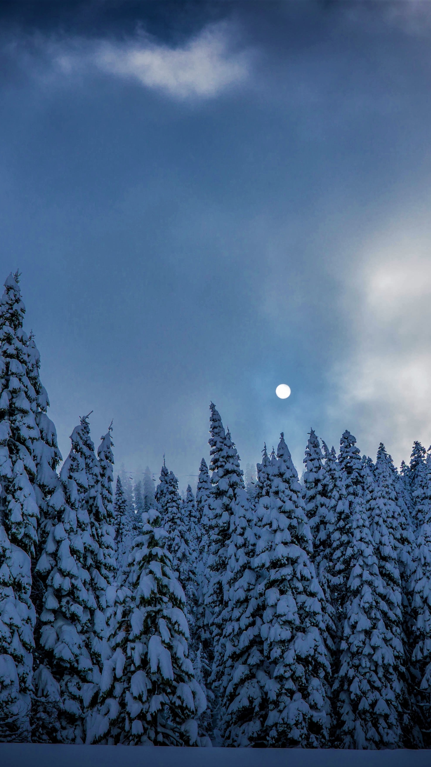 android earth, winter, fir, twilight, snow, tree, dusk, moon