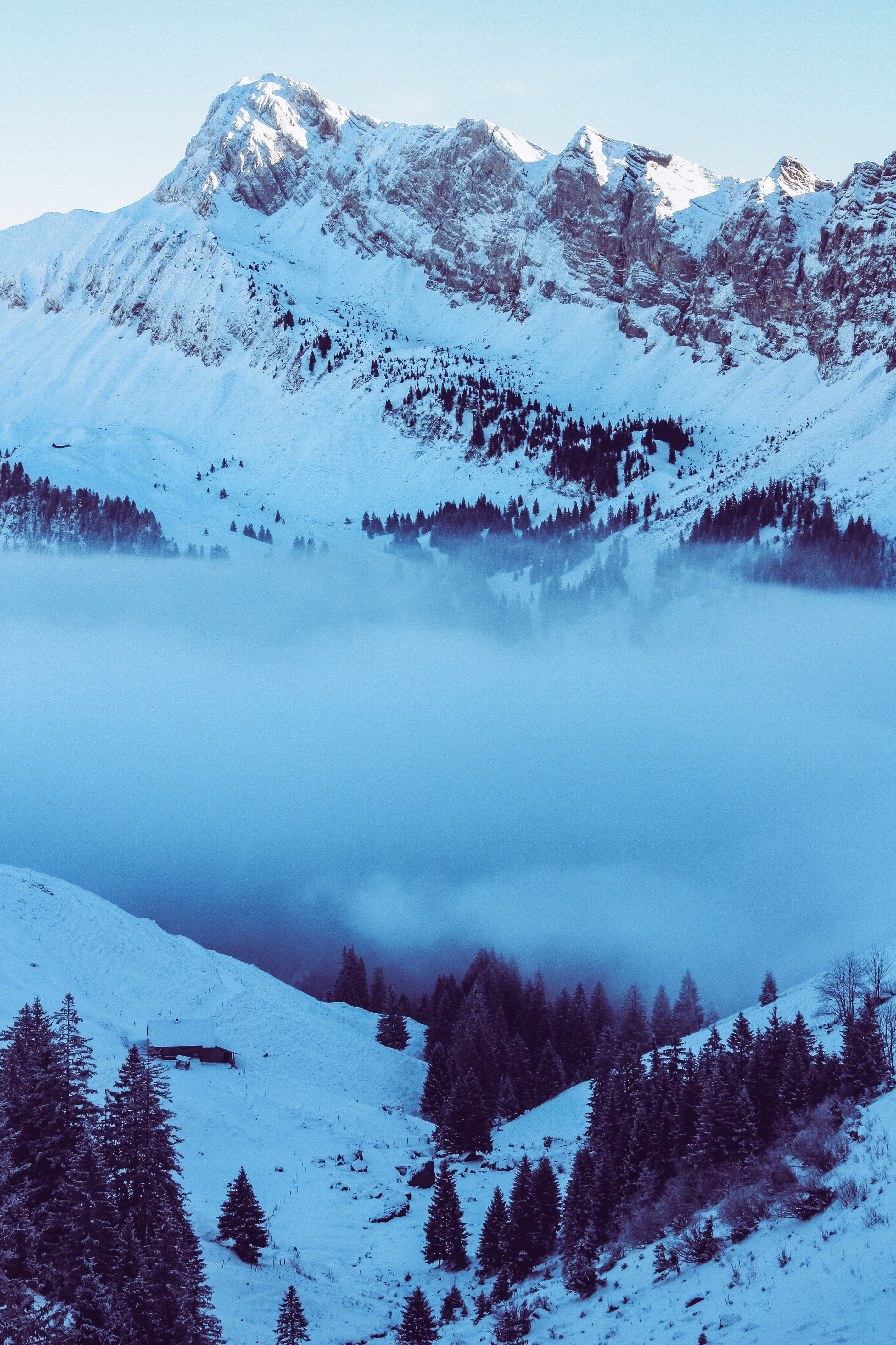 139501 скачать обои вершина, природа, горы, снег, туман, сумерки, заснеженный - заставки и картинки бесплатно