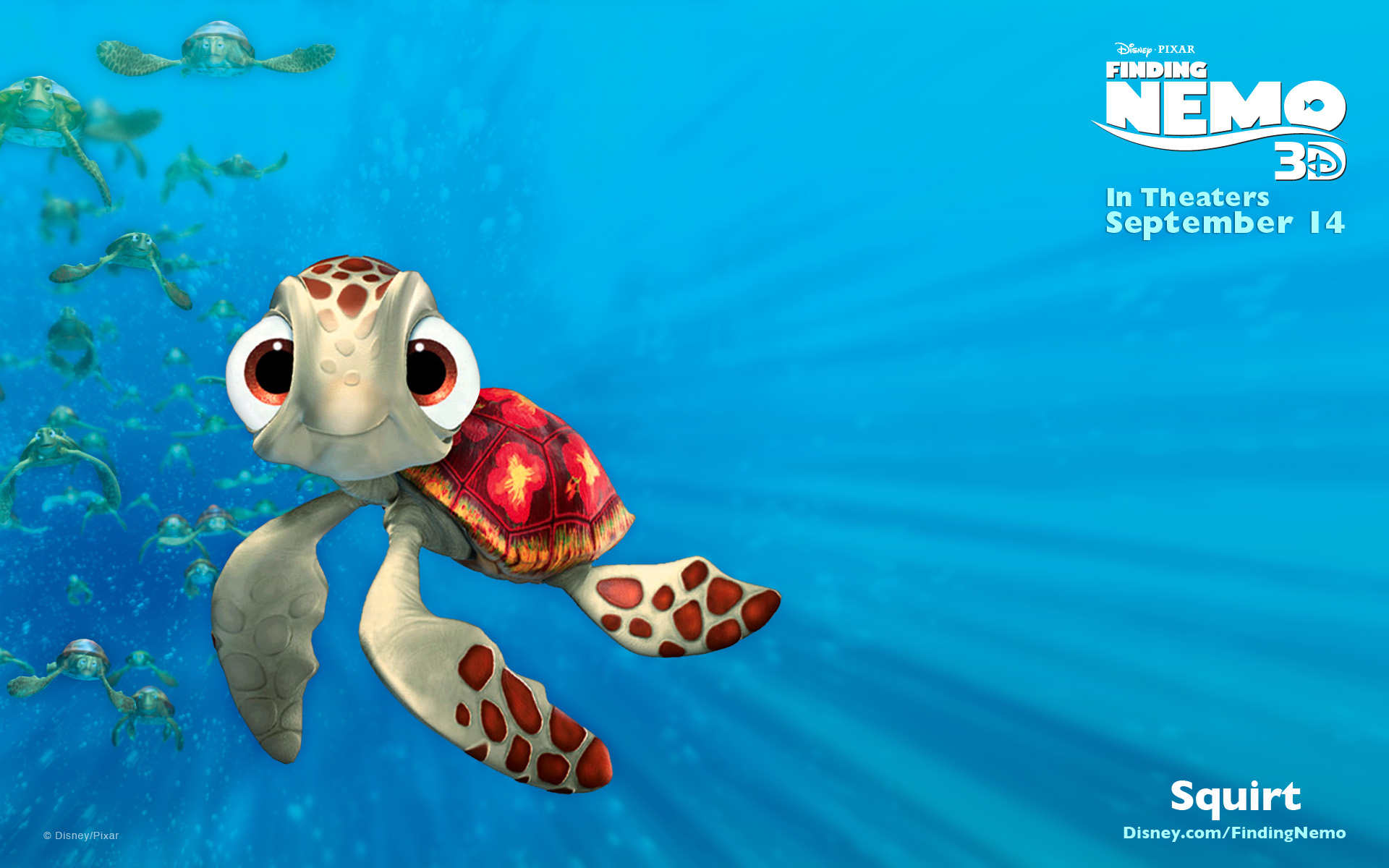 finding nemo, movie, squirt (finding nemo) Turtle HQ Background Images