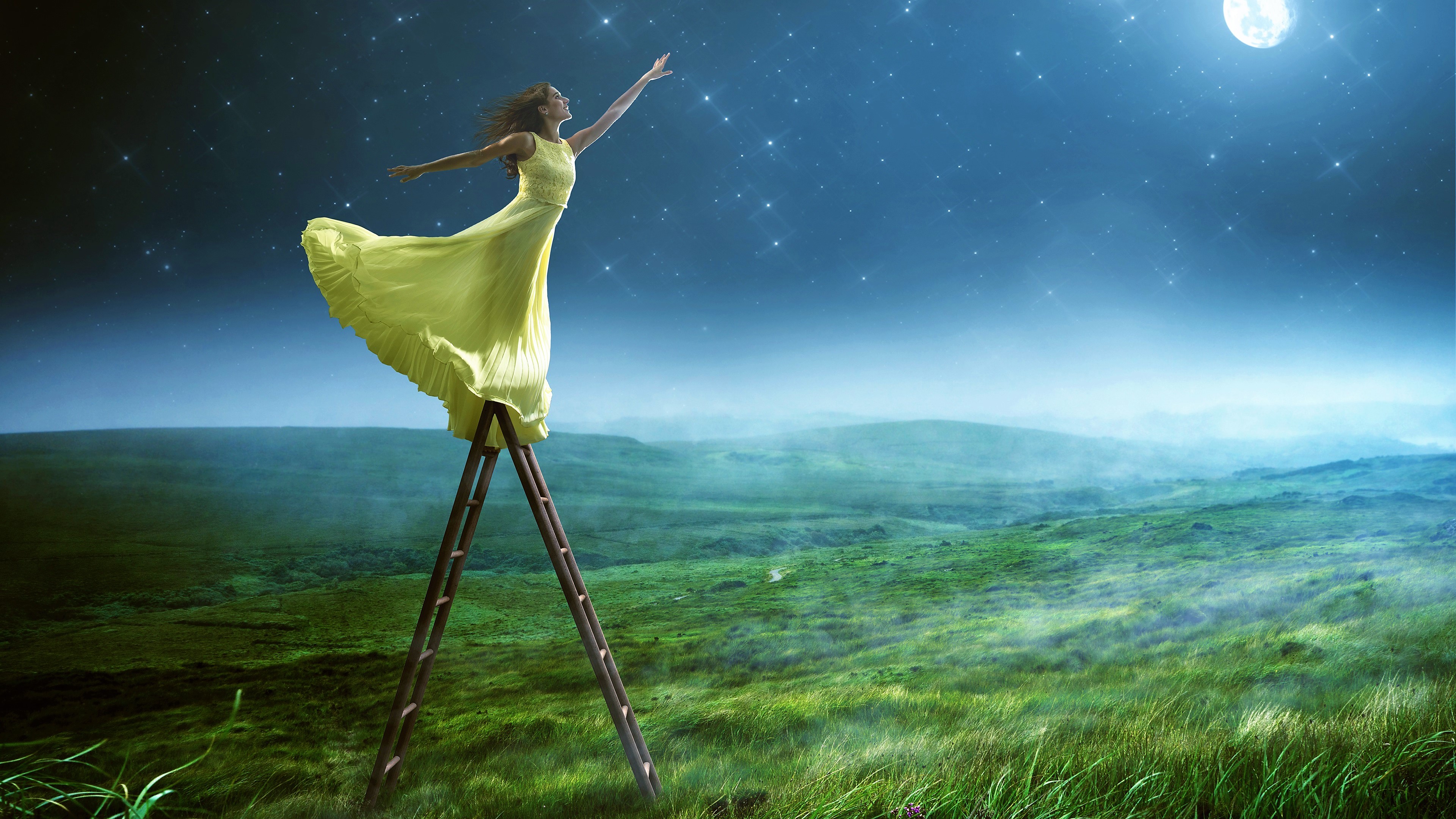 ladder, grass, dress, moon, fantasy, artistic High Definition image