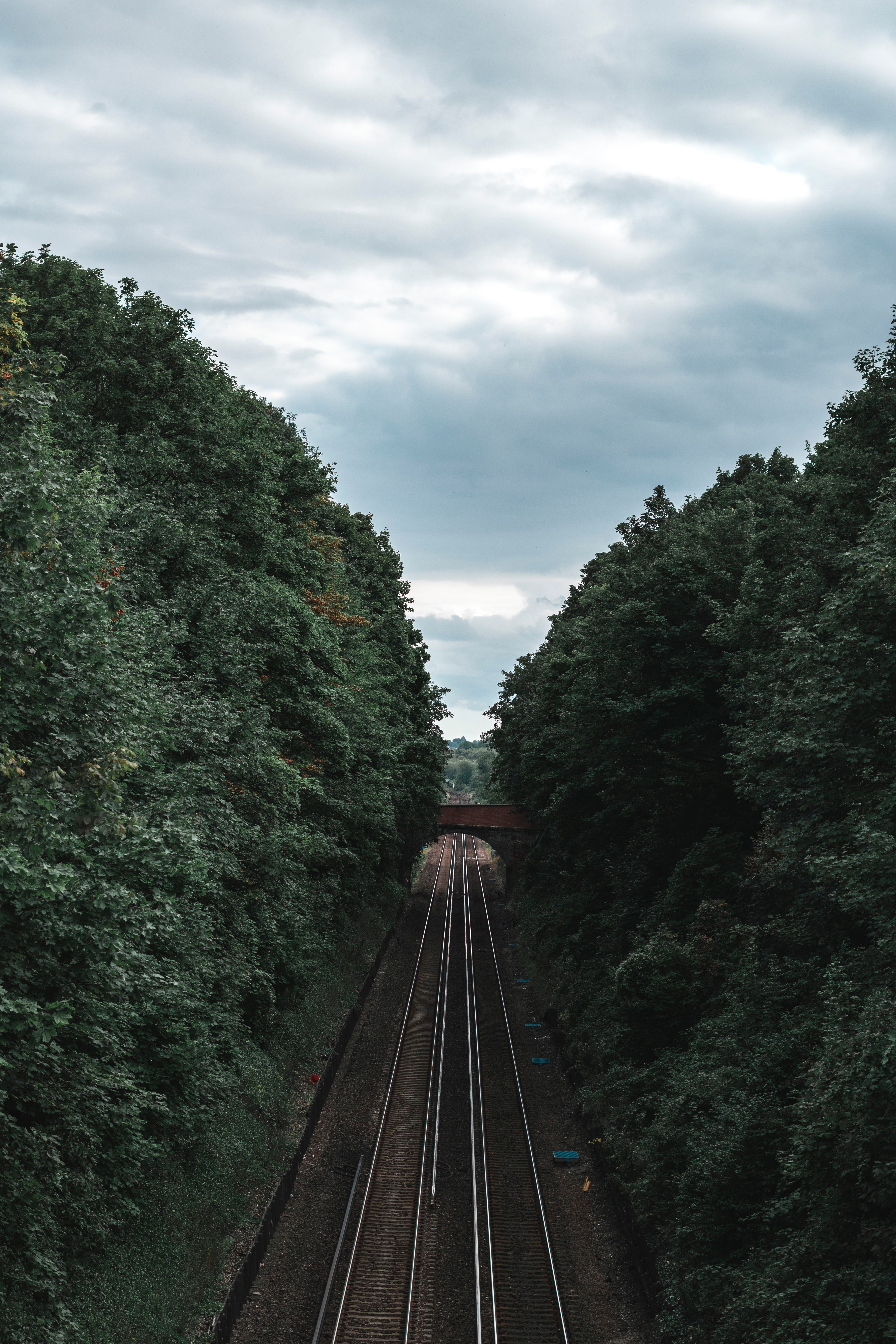 tunnel, trees, miscellanea, miscellaneous, corridor, railway, rails