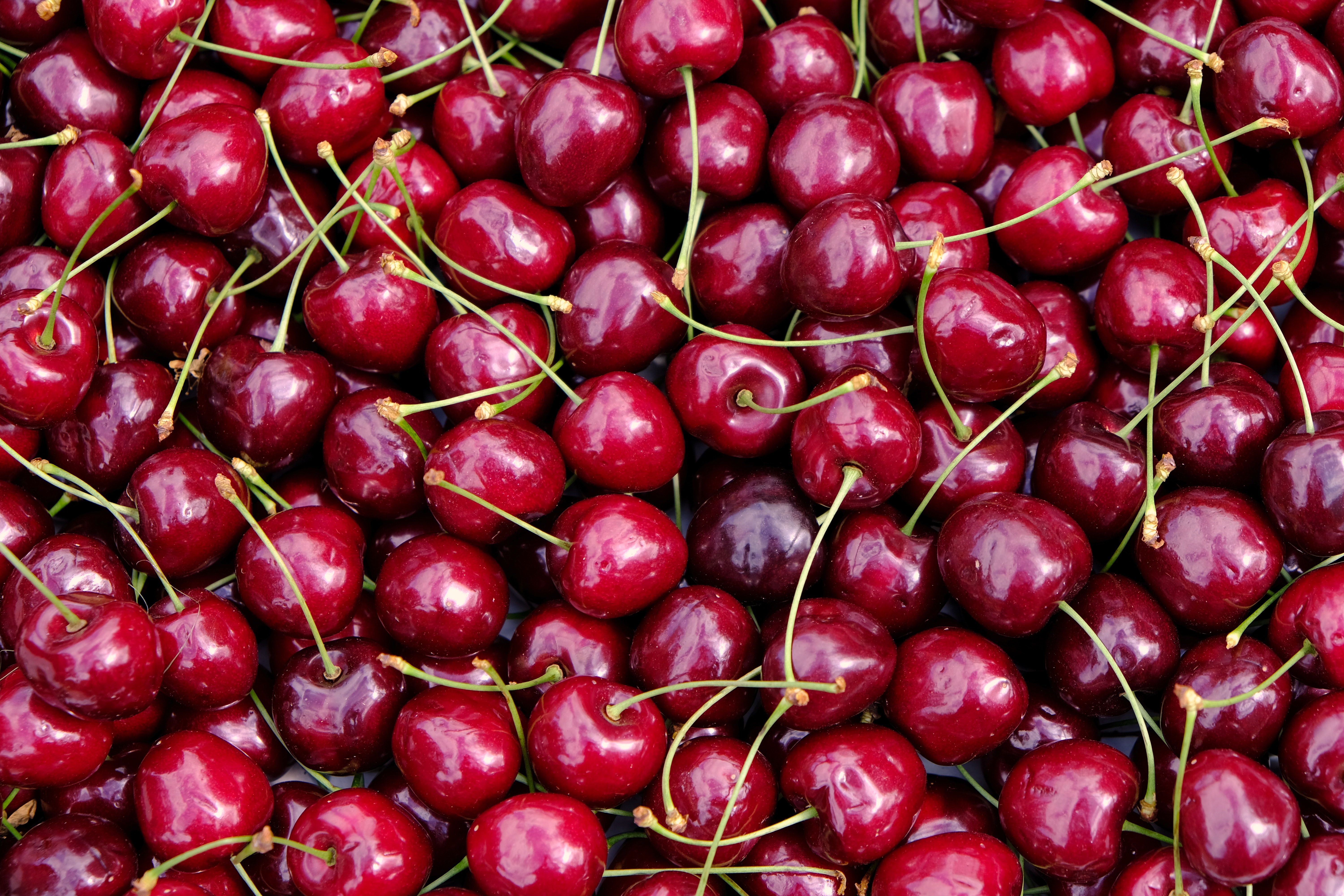 53860 download wallpaper ripe, food, red, fruit, cherries screensavers and pictures for free