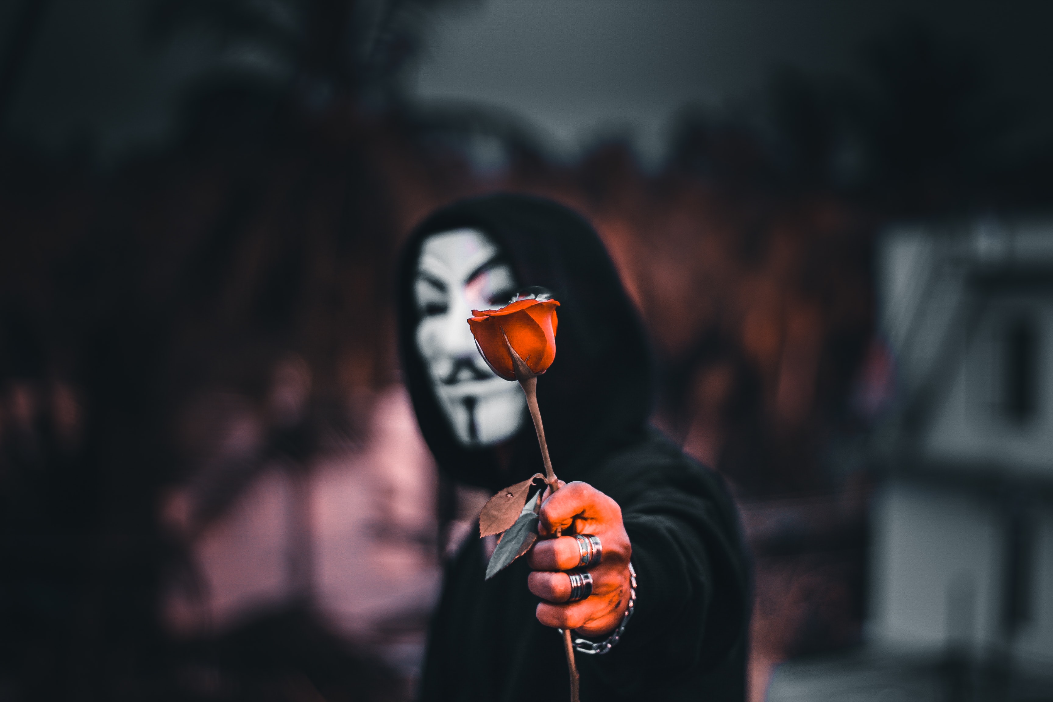 54035 download wallpaper miscellaneous, rose, anonymous, flower, miscellanea, rose flower, mask, hood screensavers and pictures for free