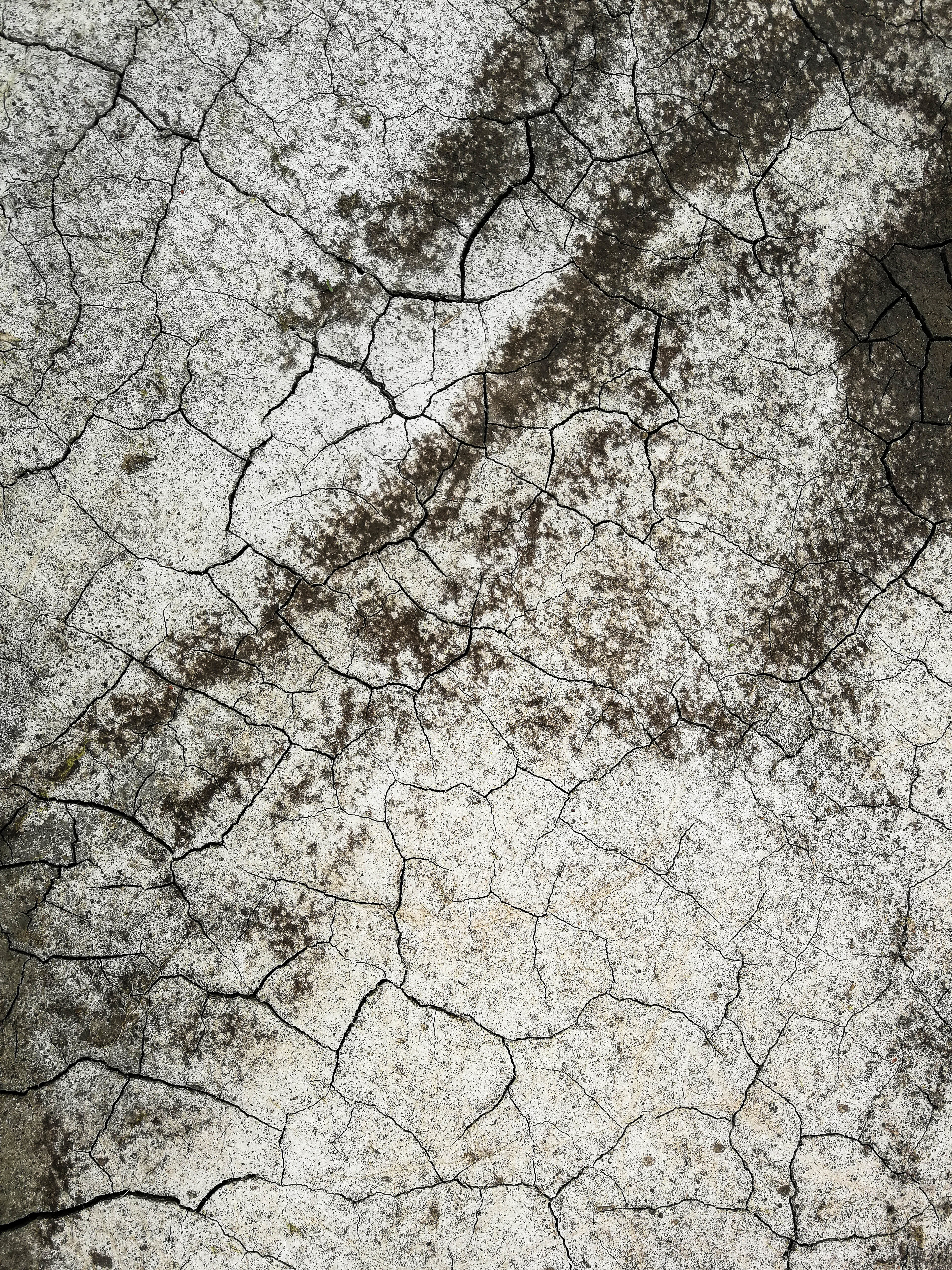 High Definition wallpaper land, textures, cracks, drought