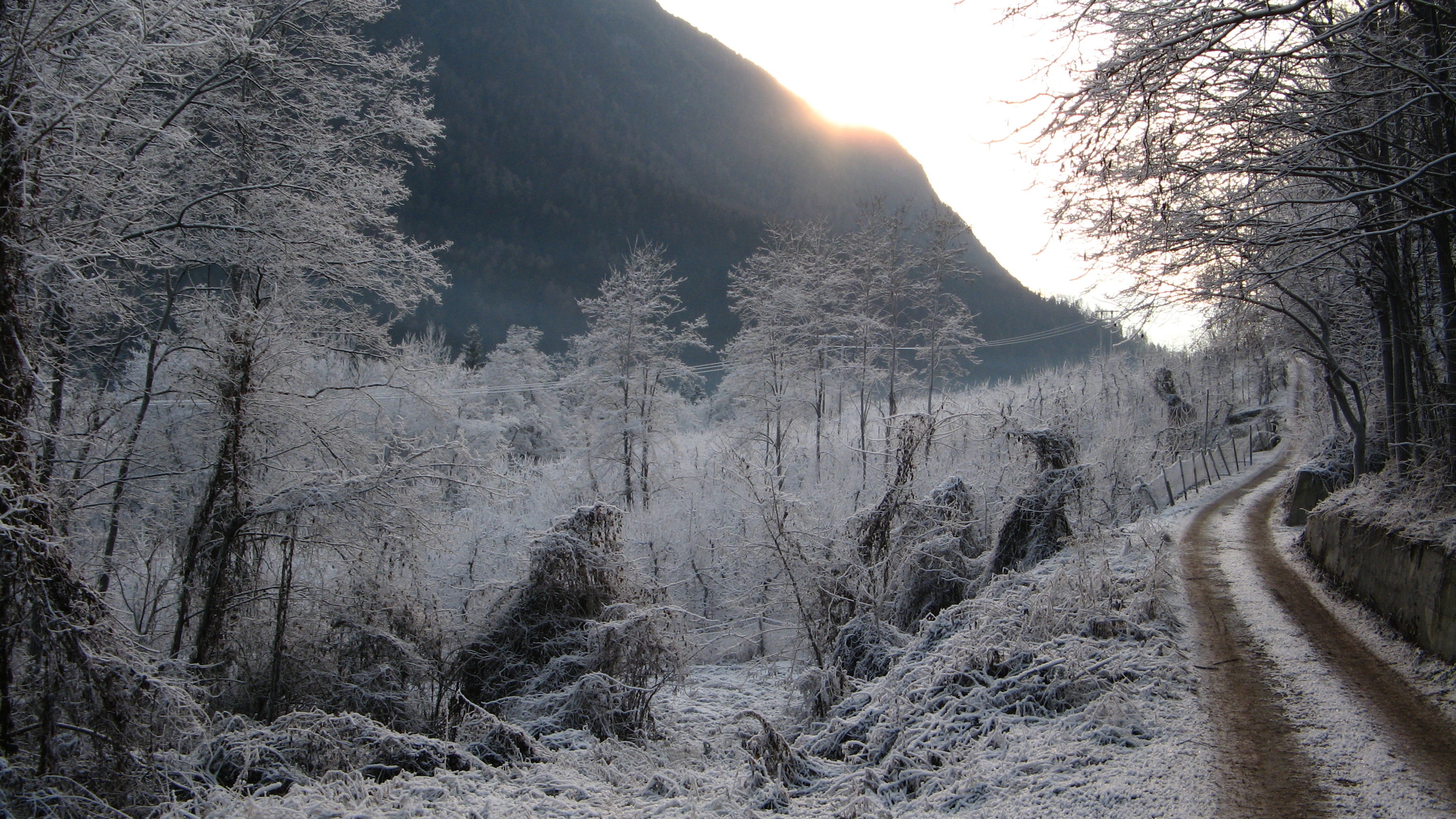 Free Images nature, country, yearning, countryside Frost