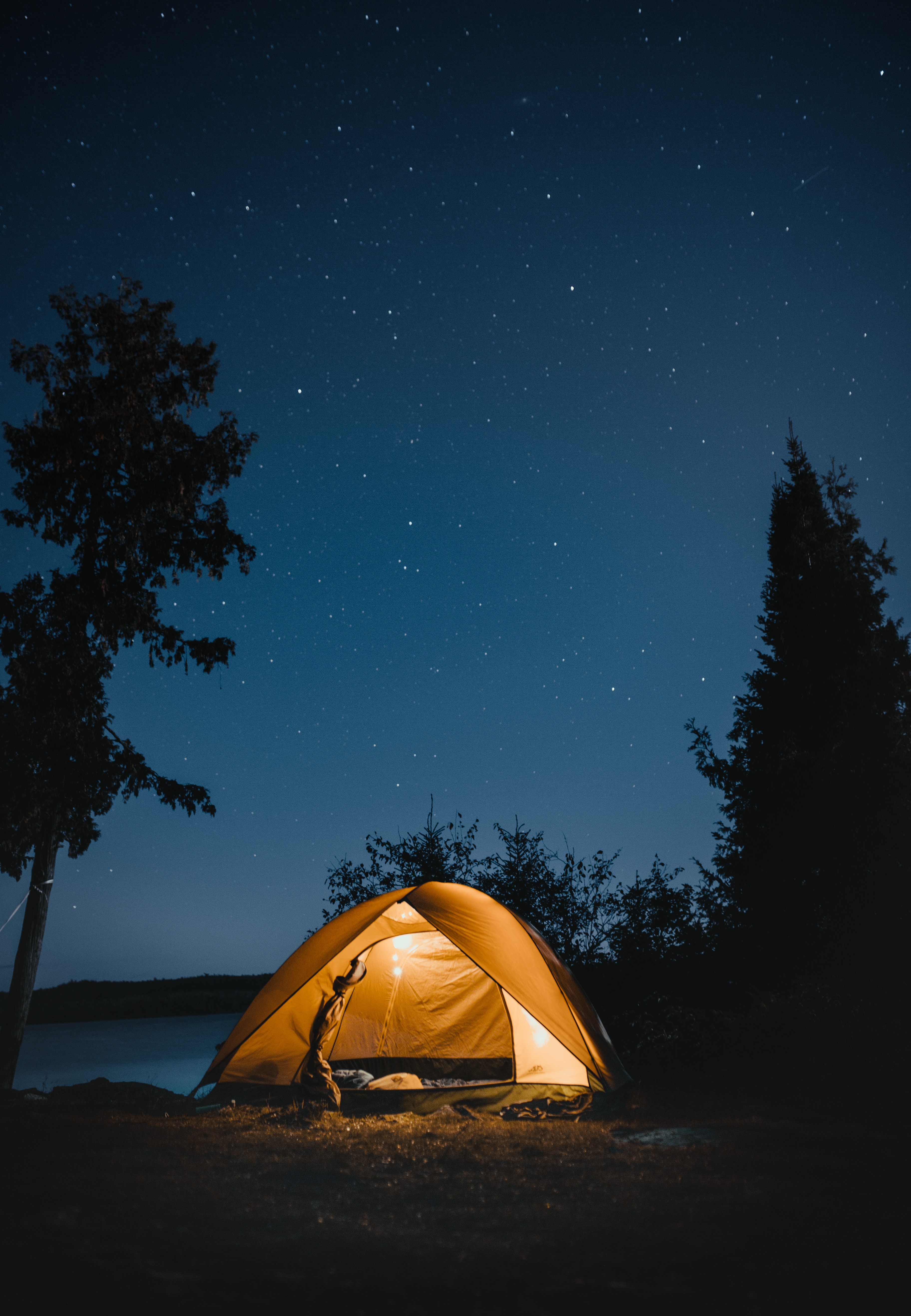 tent, camping, campsite, starry sky, nature, night, journey