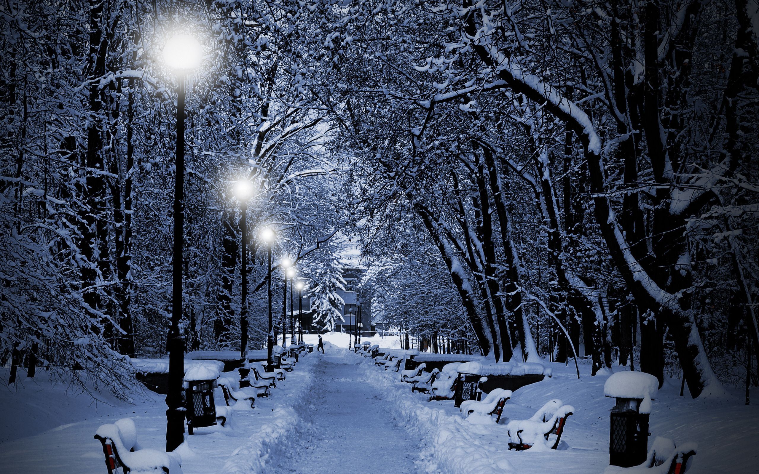 13950 download wallpaper winter, landscape, snow, blue screensavers and pictures for free