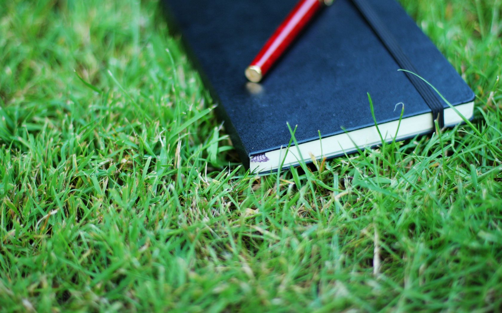 154019 download wallpaper grass, miscellanea, miscellaneous, greens, notebook, notepad, pen screensavers and pictures for free
