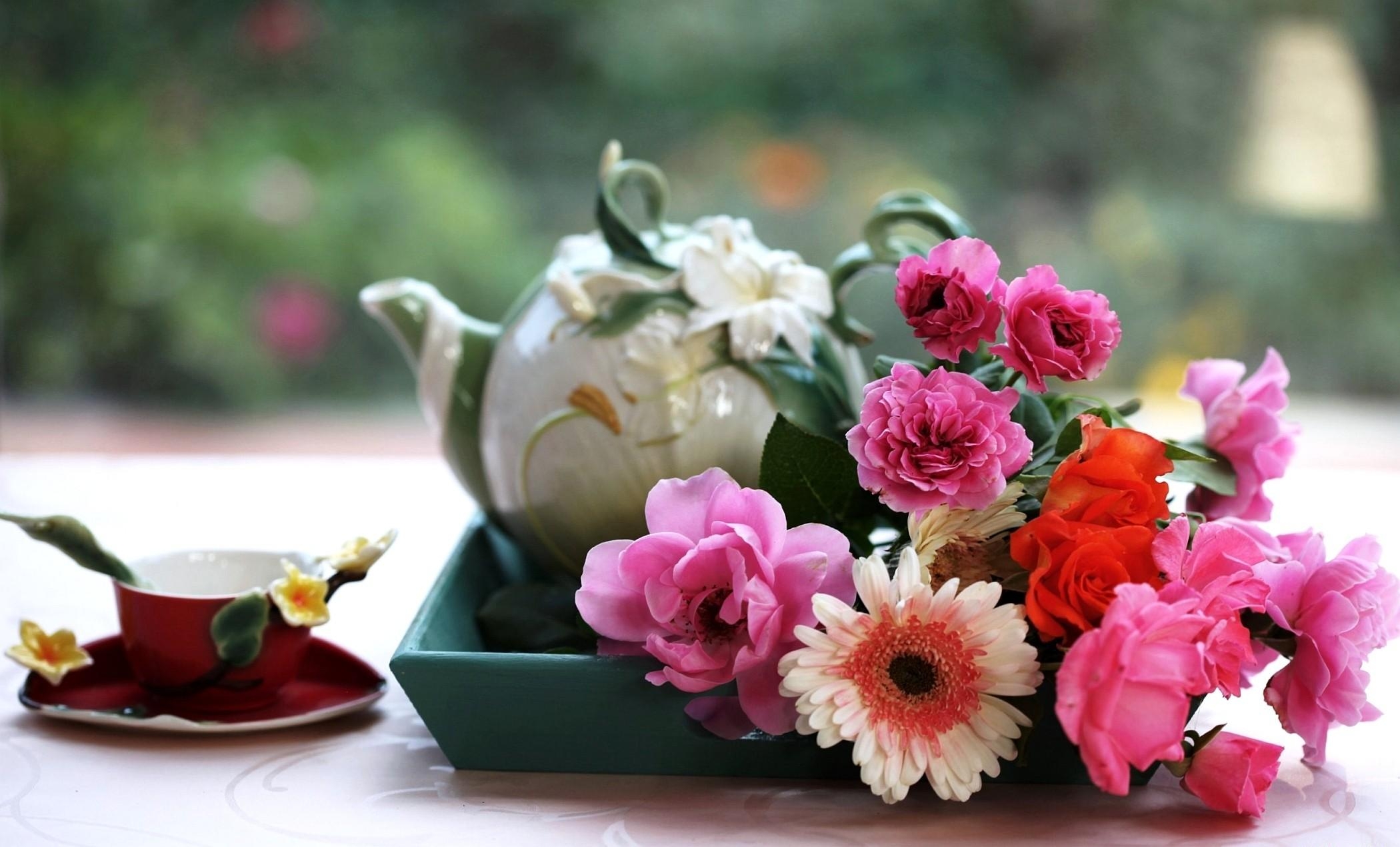 Laden Sie das Blumen, Roses, Gerbera, Eine Tasse, Tasse, Tisch, Tabelle, Tee, Fach, Tablett-Bild kostenlos auf Ihren PC-Desktop herunter