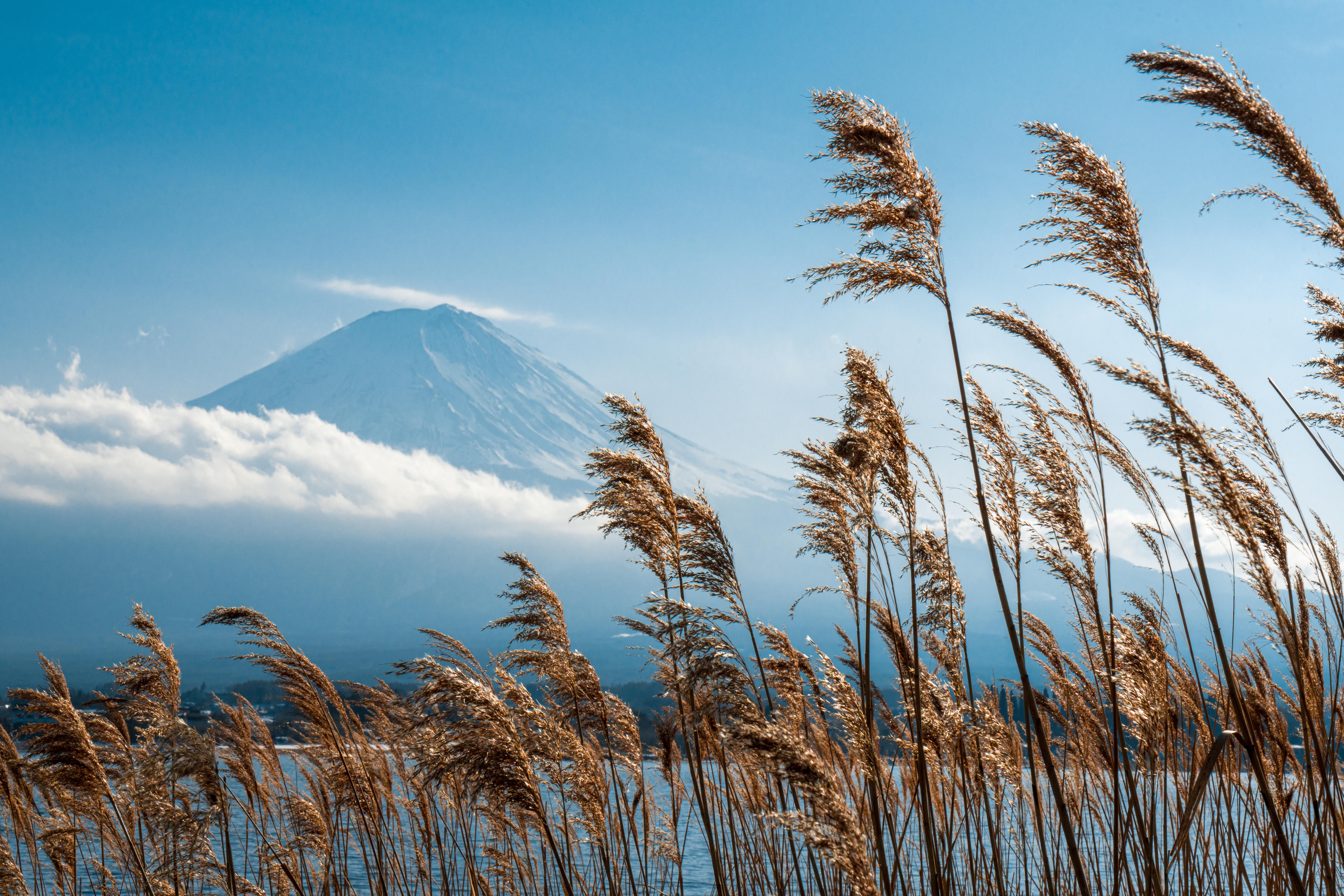 お使いの携帯電話の466273スクリーンセーバーと壁紙富士山。 の写真を無料でダウンロード