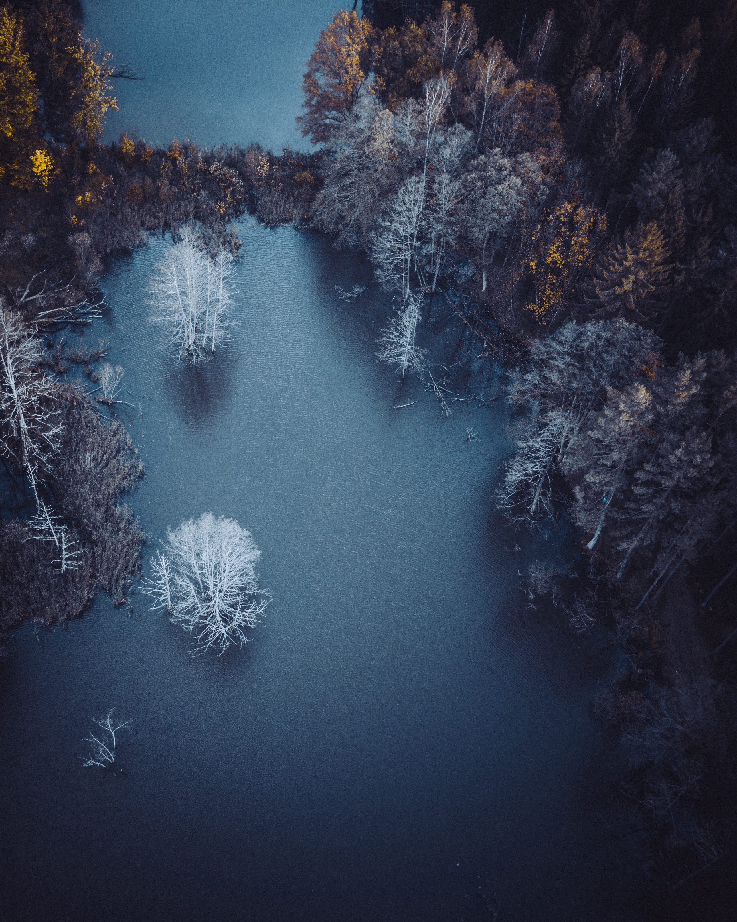 Frost hoarfrost, nature, autumn, lake Lock Screen