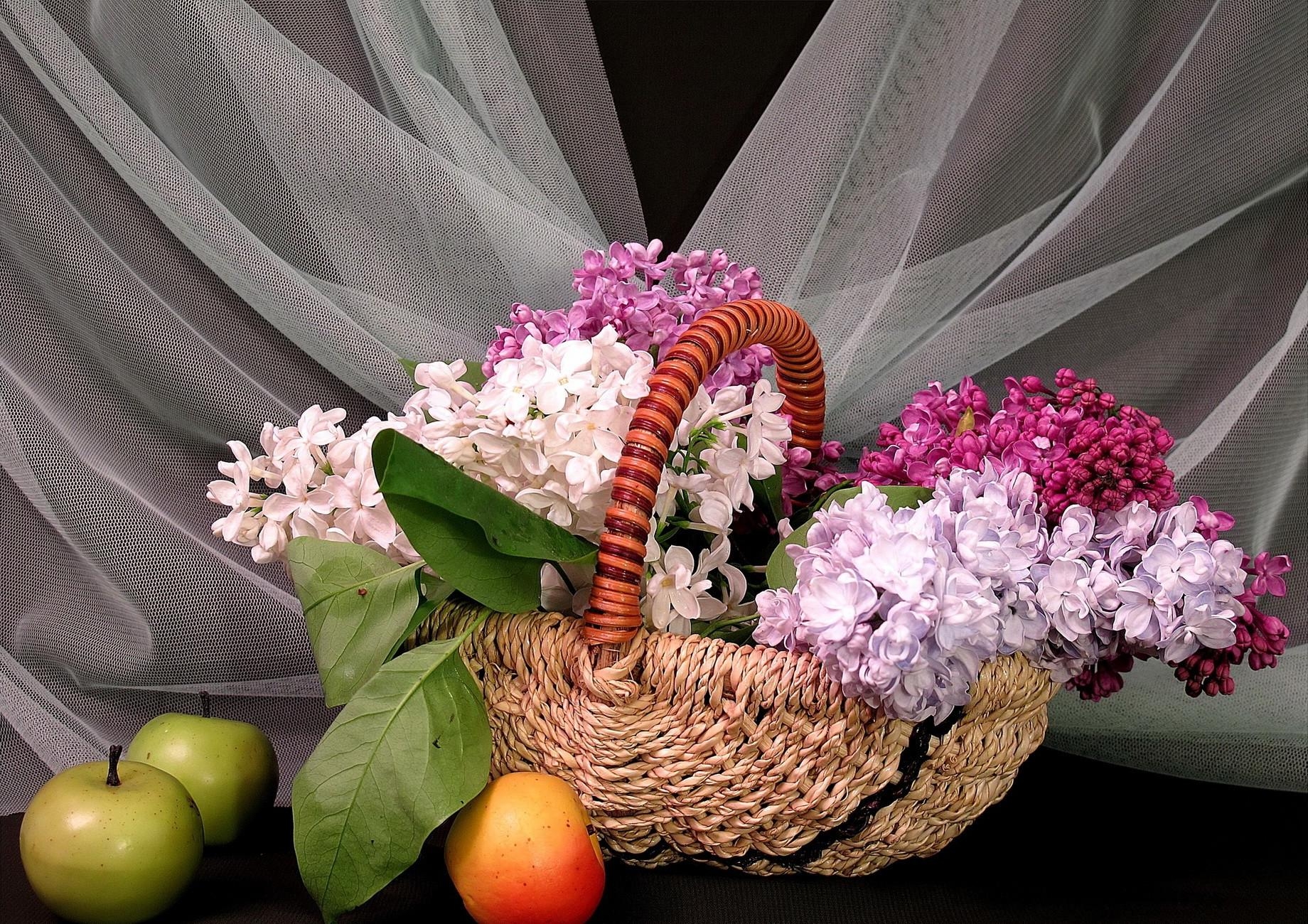 apples, flowers, lilac, grid, basket, spring HD wallpaper