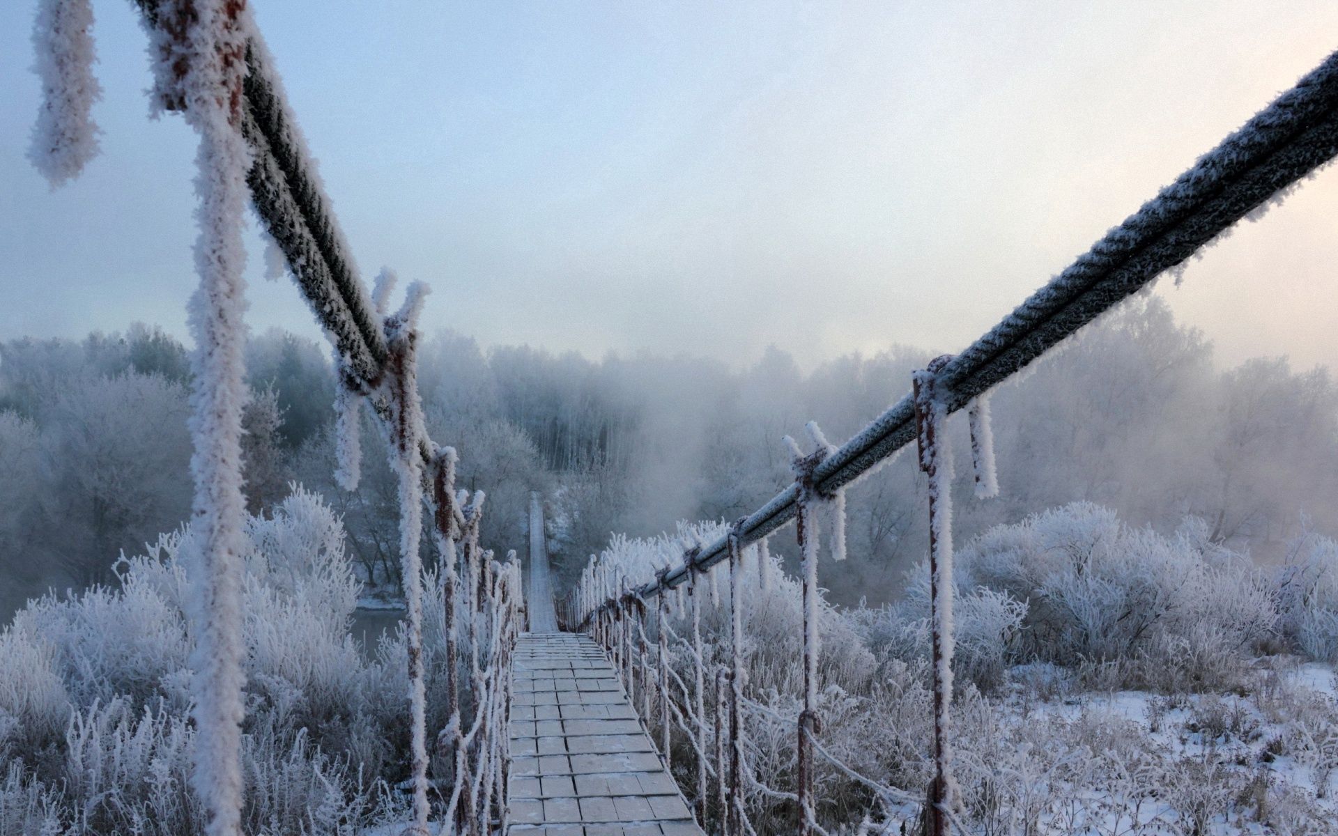 winter, nature, height, bridge, hanging, suspension, frost, hoarfrost, cold Free Stock Photo