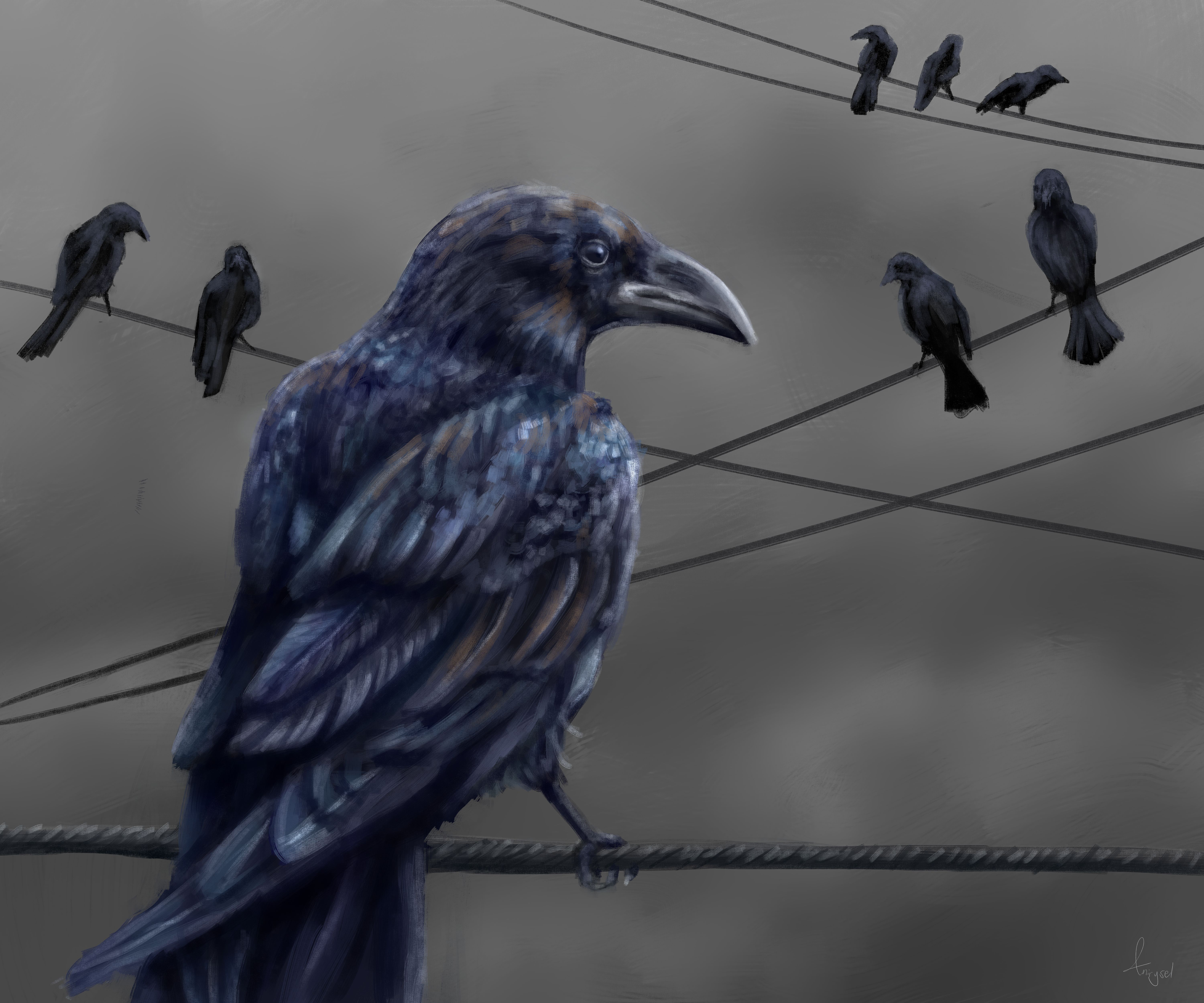 wallpapers raven, art, feather, bird, wire