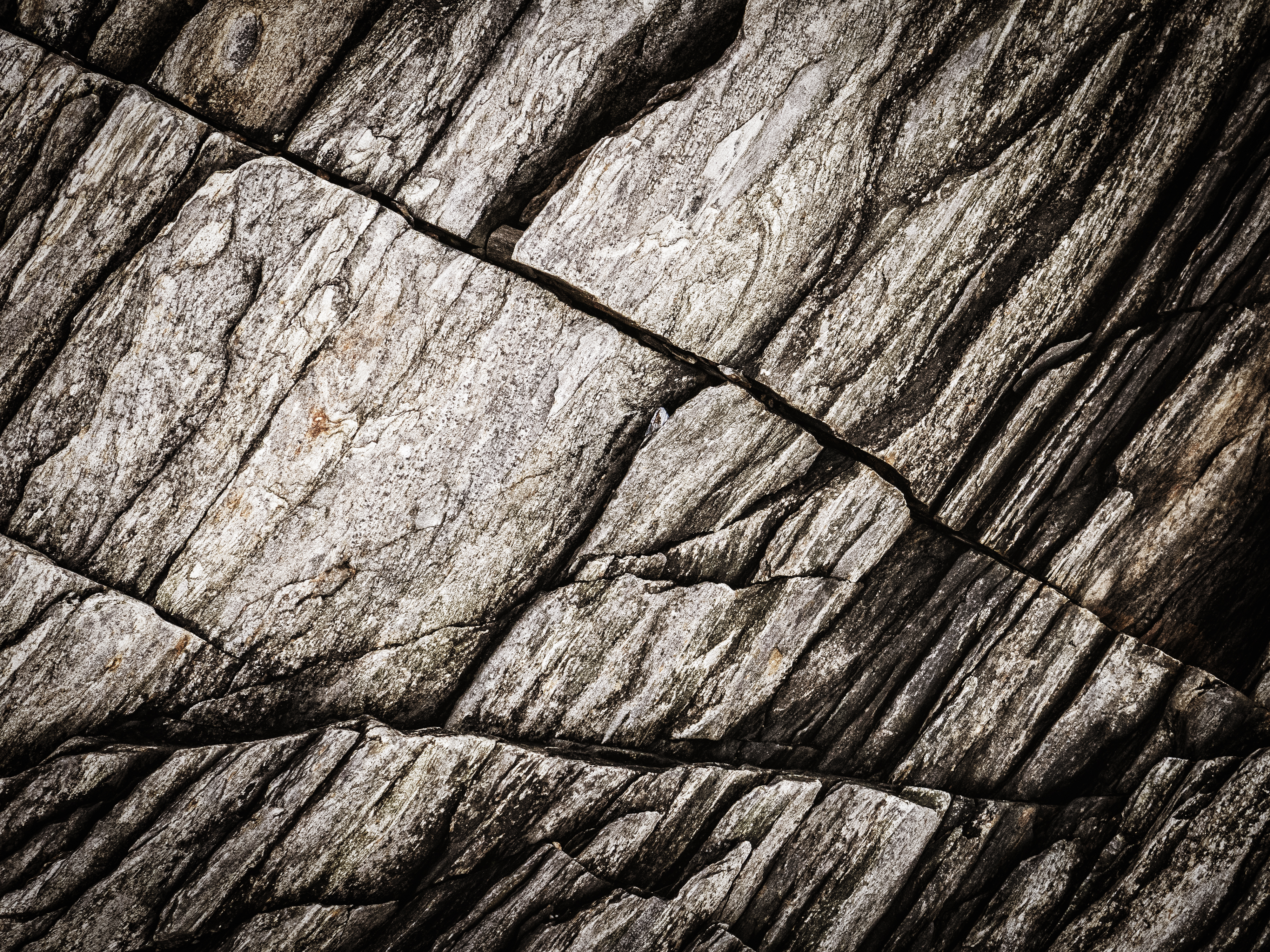 UHD wallpaper rock, textures, texture, fossil