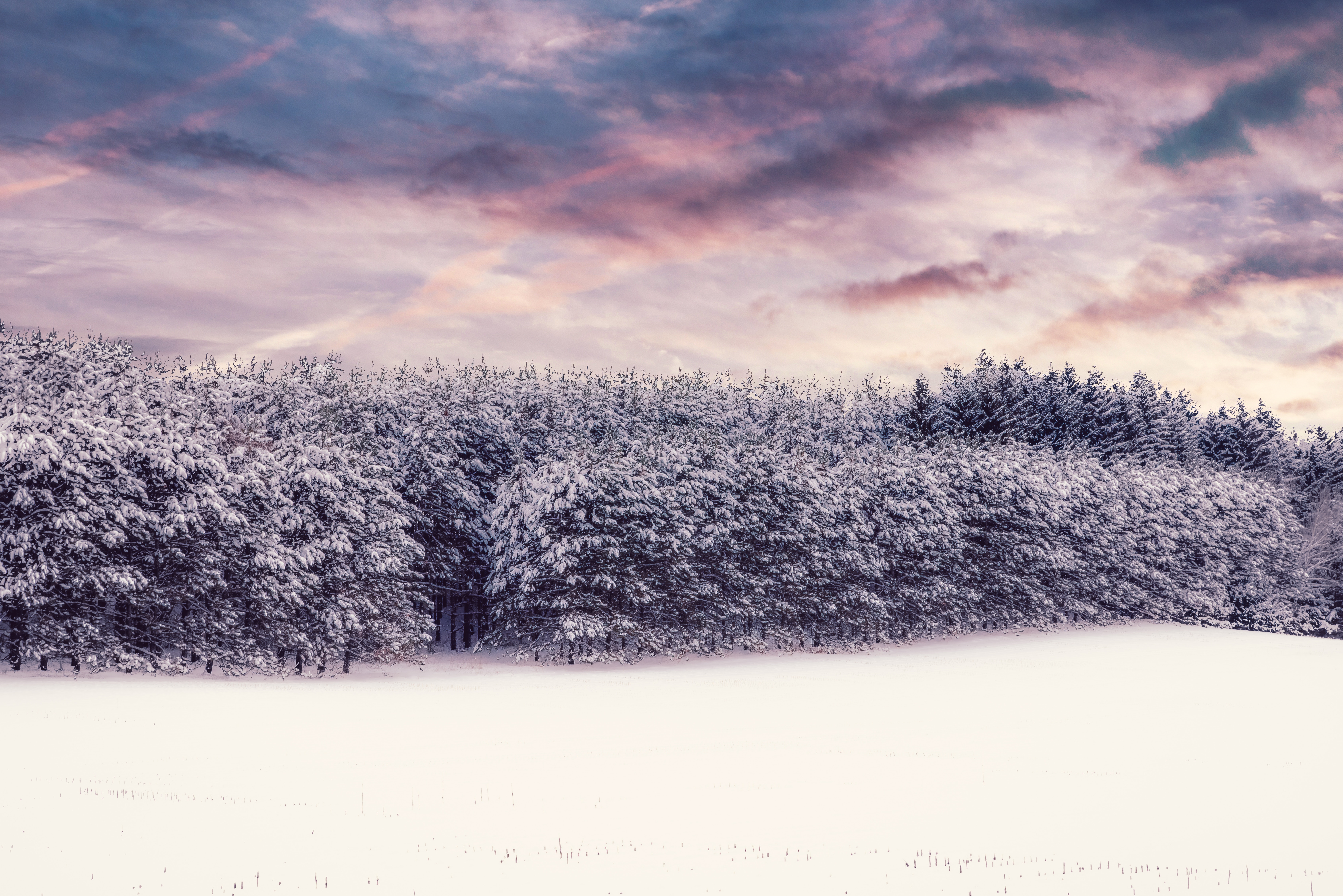 52354 Hintergrundbild herunterladen winter, natur, bäume, schnee, wald, schneebedeckt, snowbound - Bildschirmschoner und Bilder kostenlos