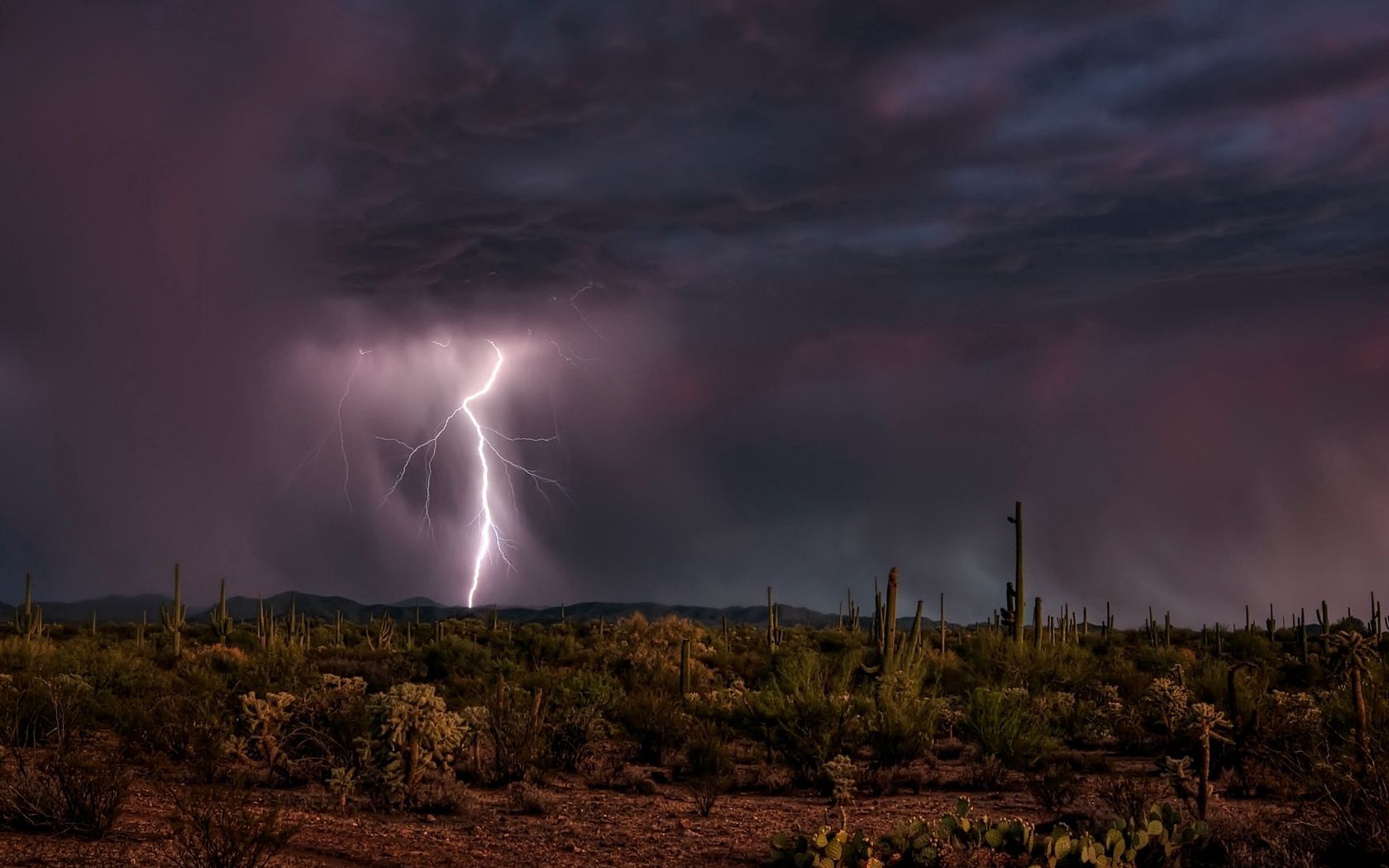 desert, nature, cactuses, lightning, element, discharge
