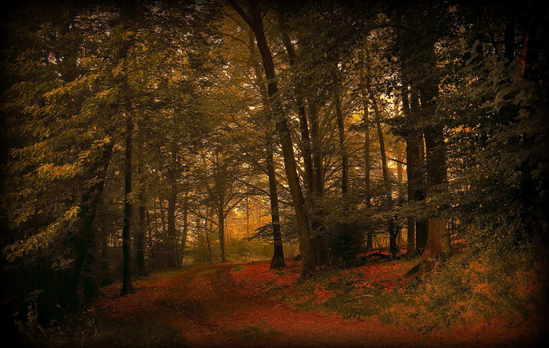 landscape, trees, roads download HD wallpaper