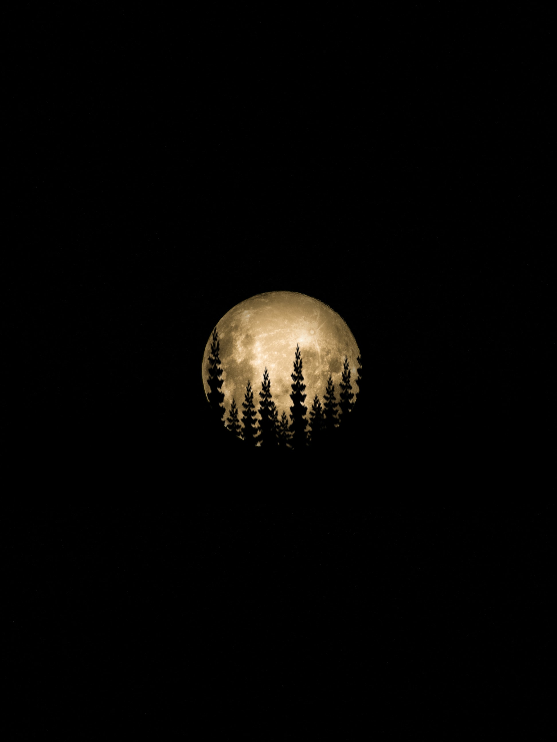 moon, black, silhouette, trees, full moon UHD