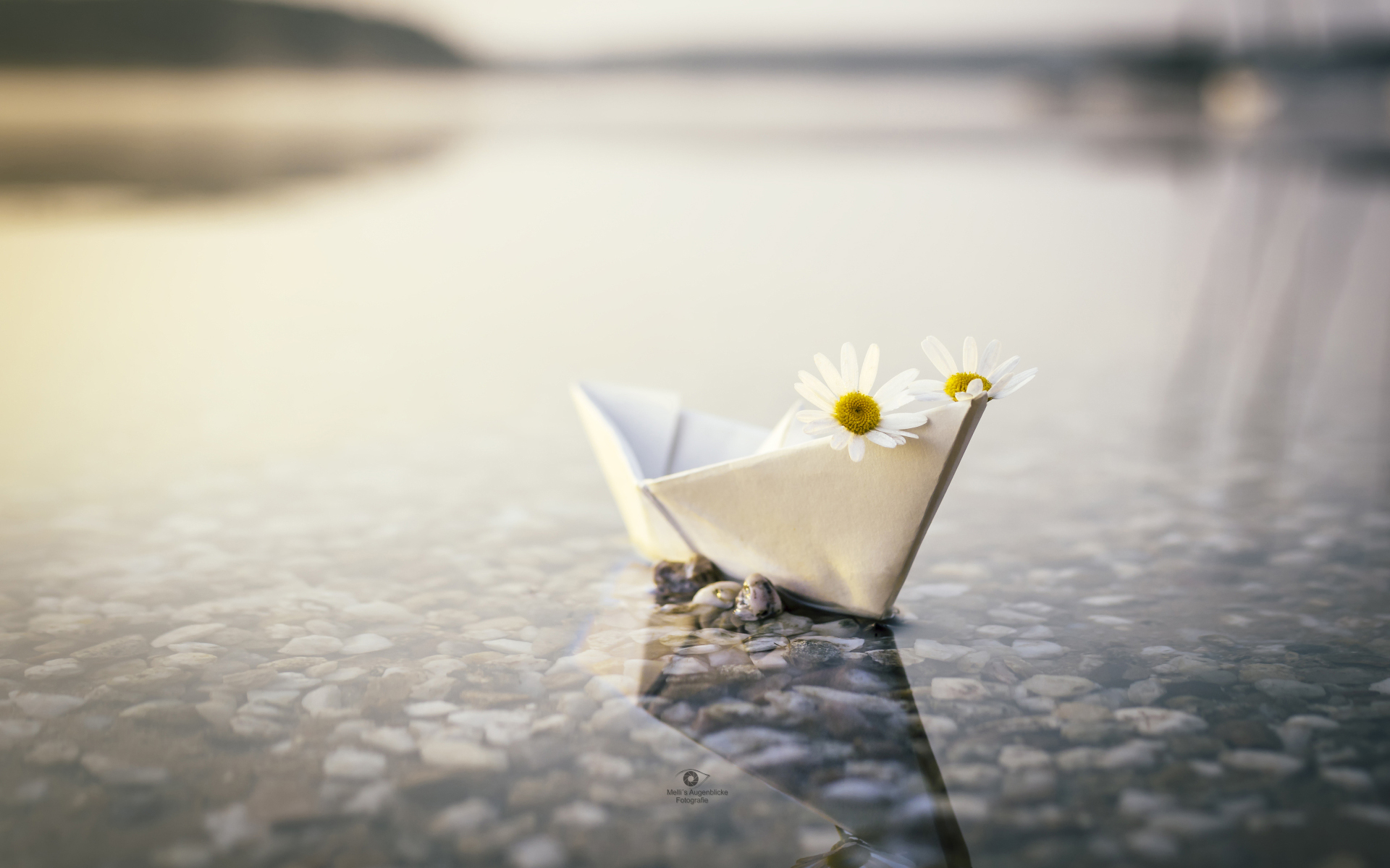 water, reflection, paper boat, origami Horizontal Wallpapers