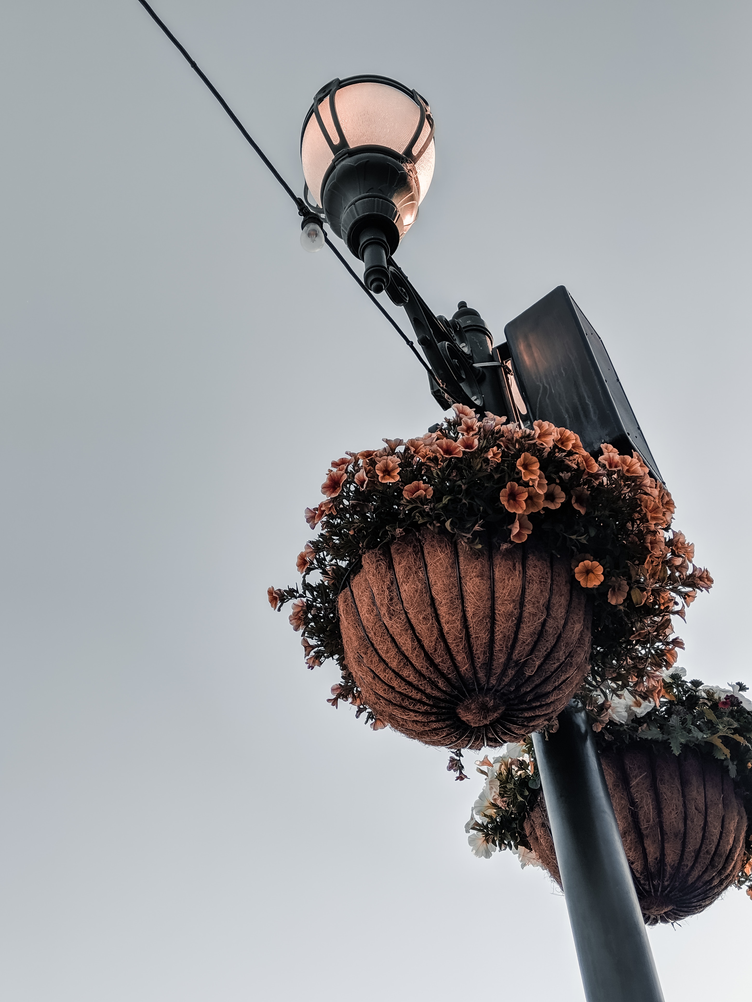 flowers, lamp, lantern, post, pillar, decoration, pots 1080p
