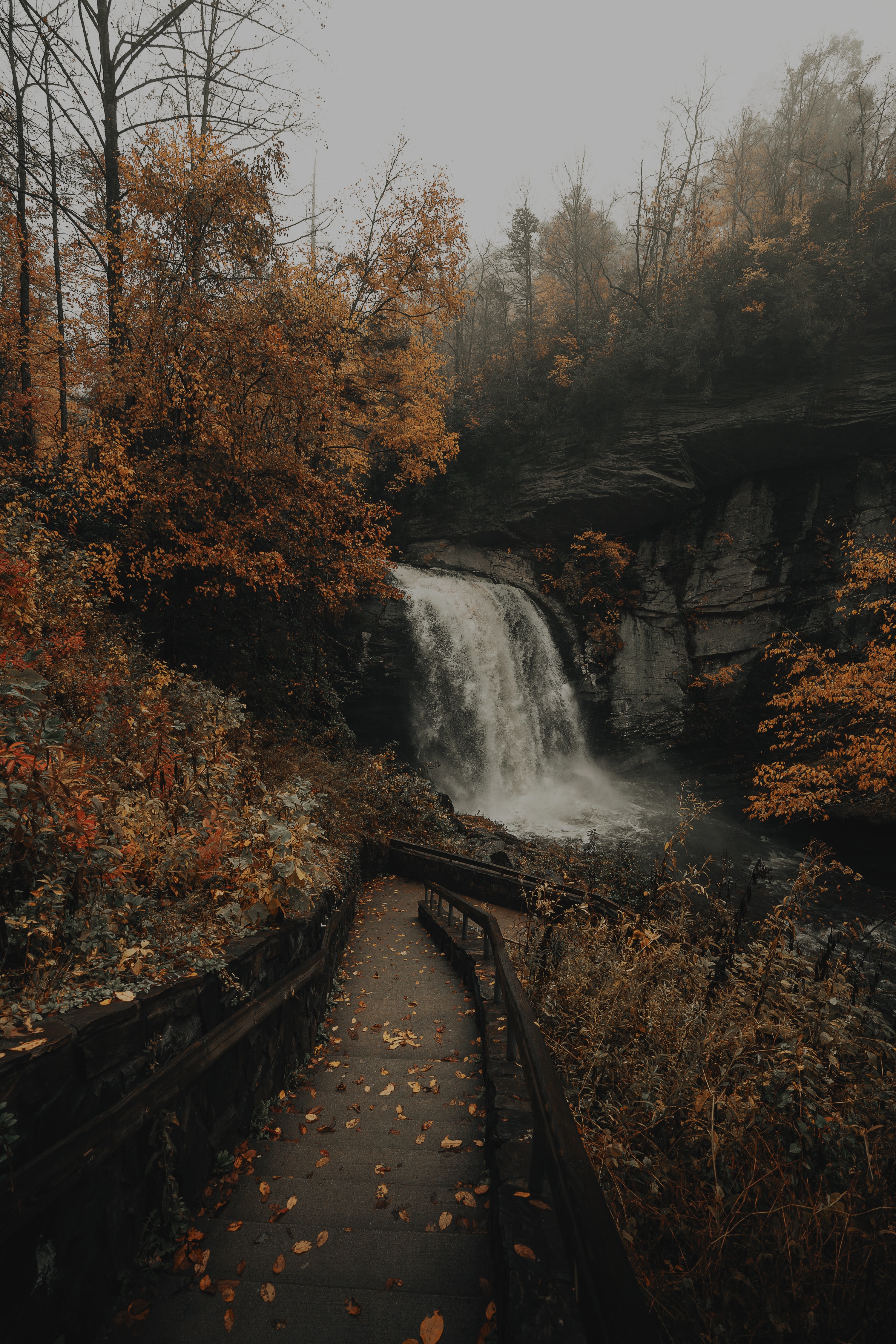 nature, waterfall, rivers, trees, rocks, stairs, ladder