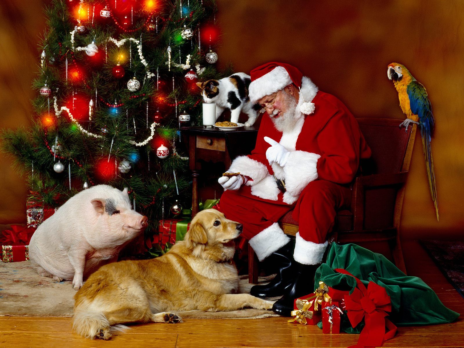 14056 Hintergrundbild herunterladen weihnachtsmann, feiertage, tiere, menschen, neujahr, weihnachten - Bildschirmschoner und Bilder kostenlos