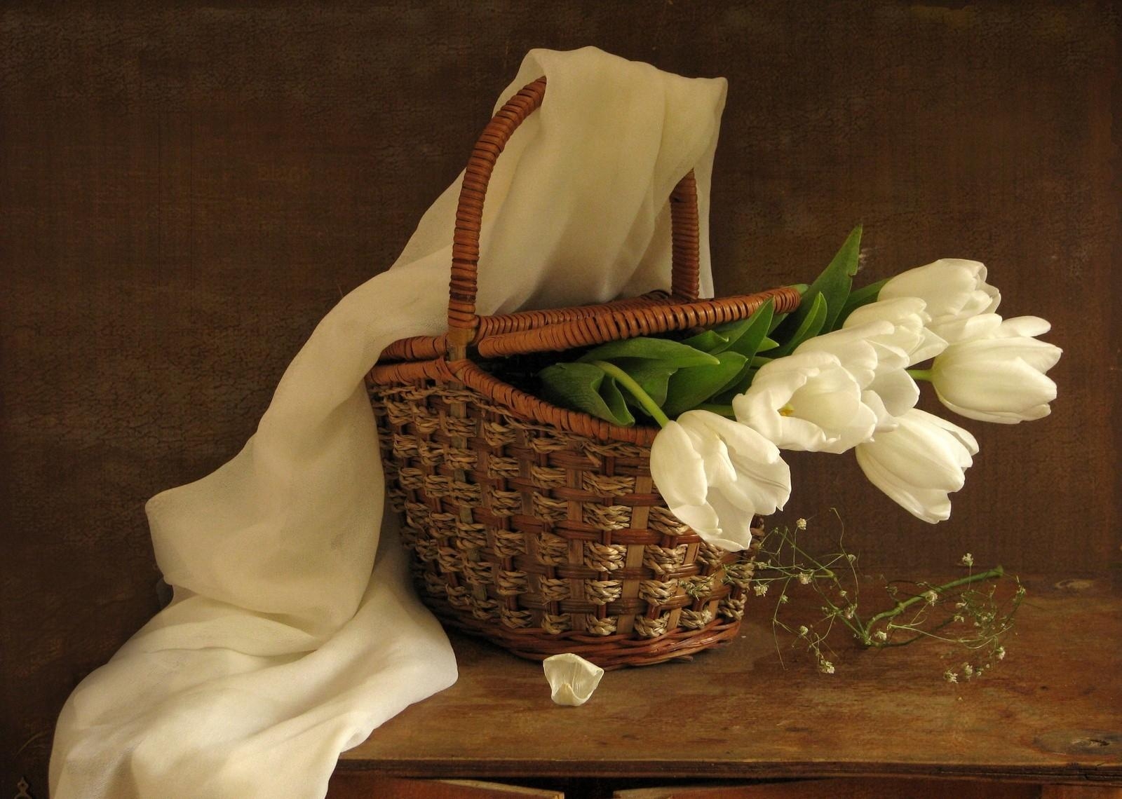 85061 завантажити шпалери шарф, квіти, тюльпани, білий, букет, кошик, корзина, весна - заставки і картинки безкоштовно