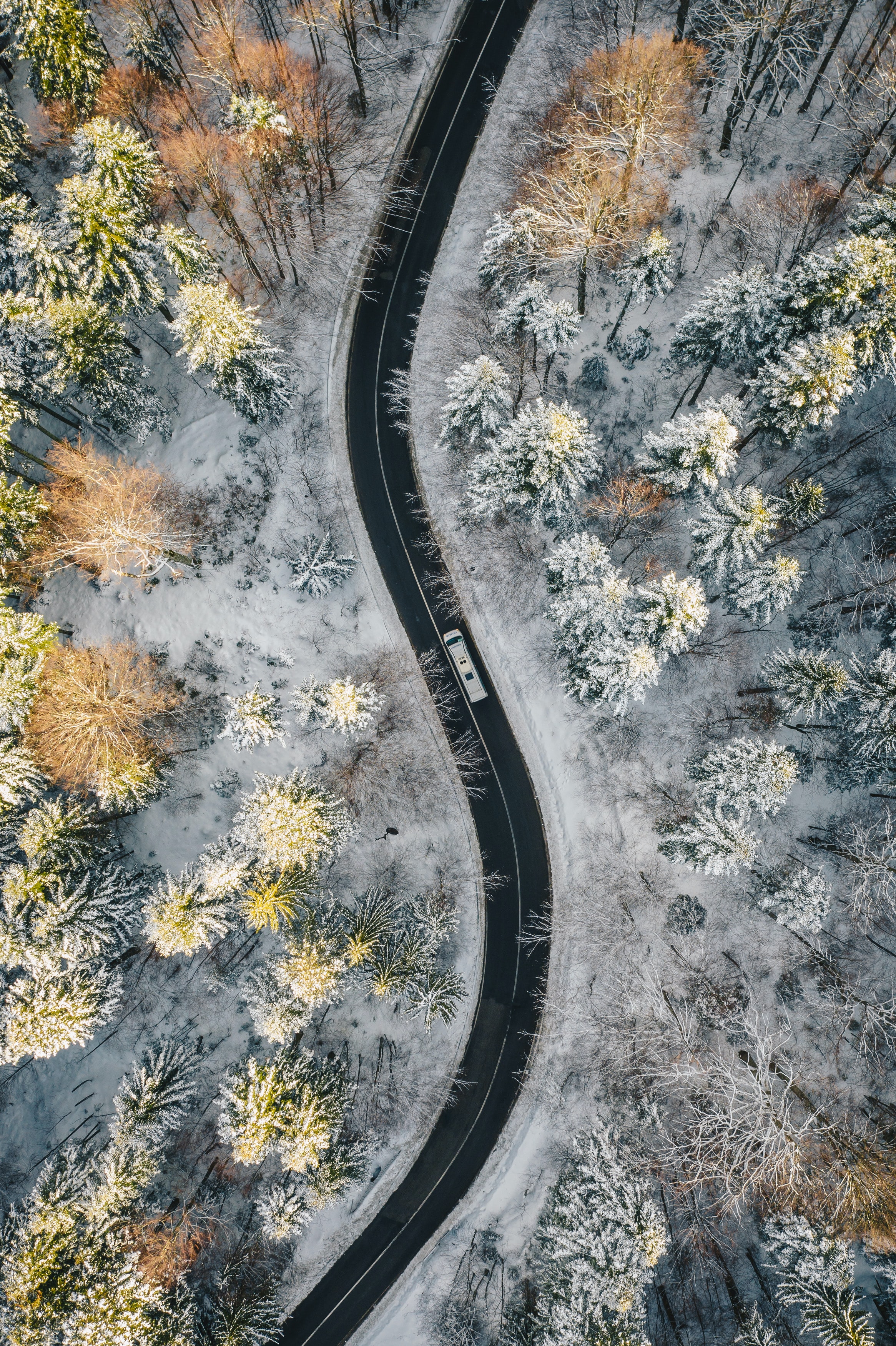 Car view from above, forest, road, machine Free Stock Photos