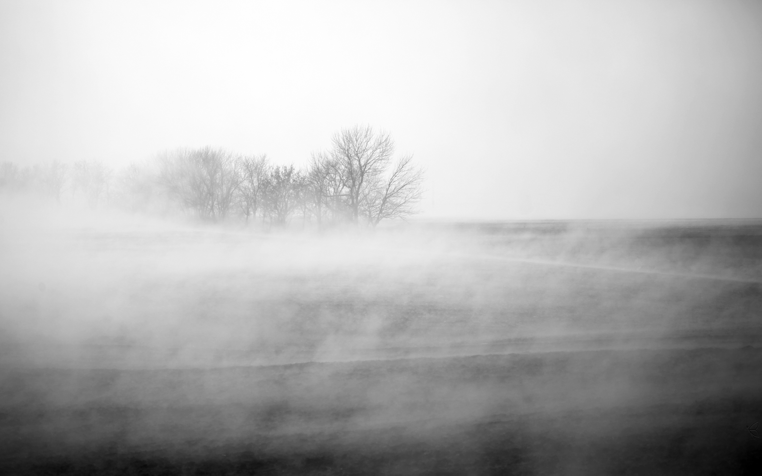 Туман туман густая пелена