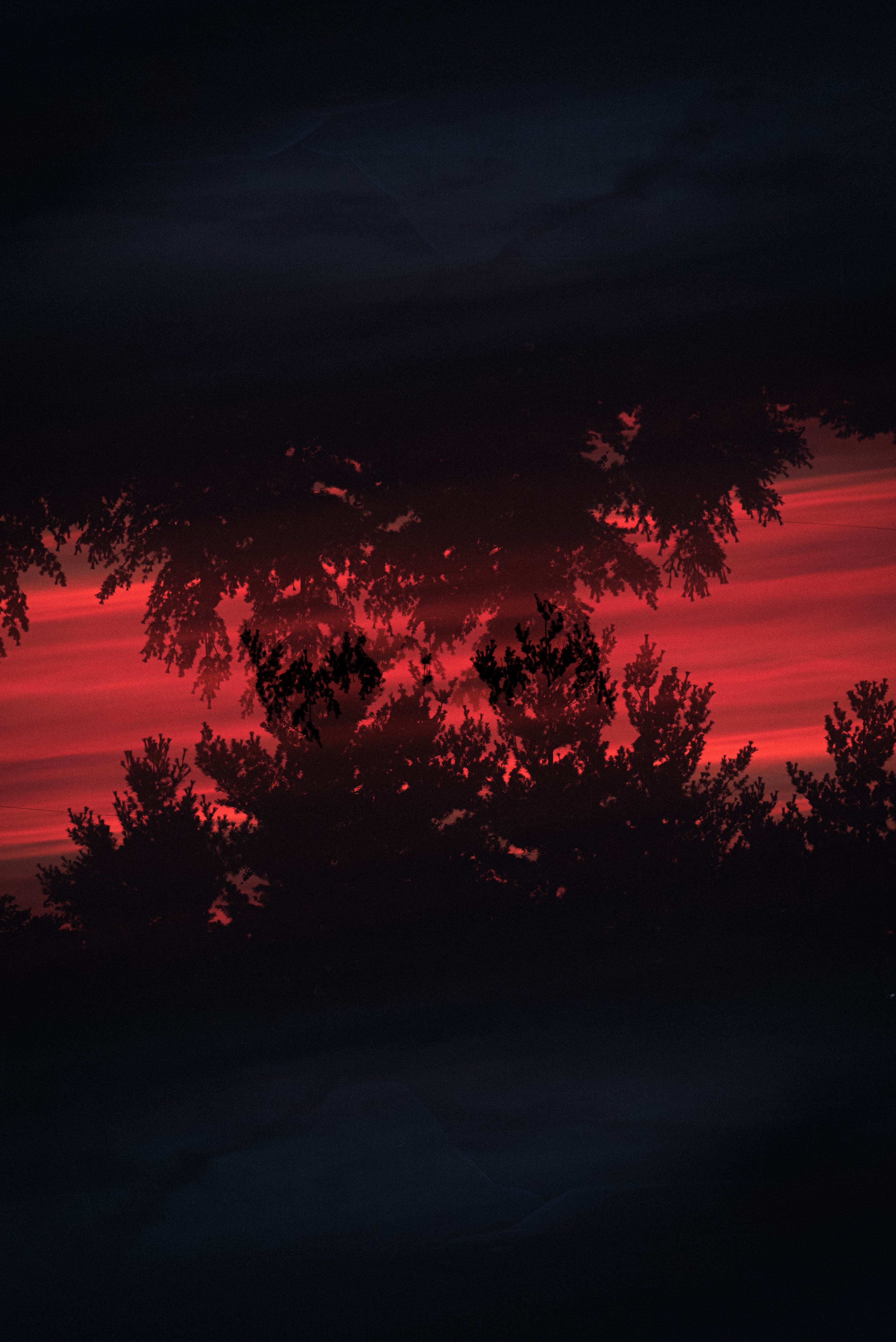 Laden Sie das Bäume, Bush, Reflexion, Dunkel, Silhouette-Bild kostenlos auf Ihren PC-Desktop herunter