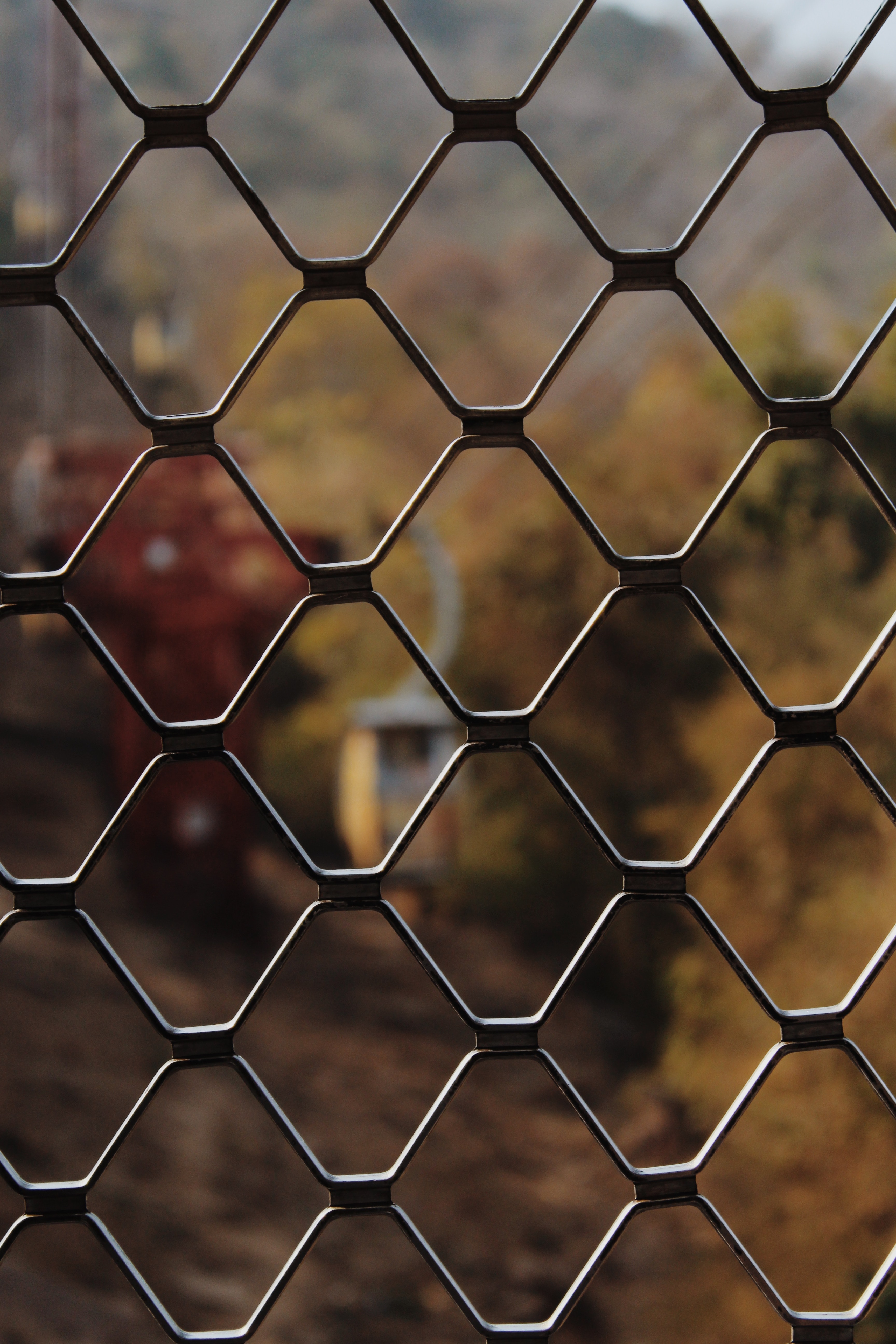 miscellanea, miscellaneous, blur, smooth, grid, fence, plexus, fencing, enclosure HD wallpaper