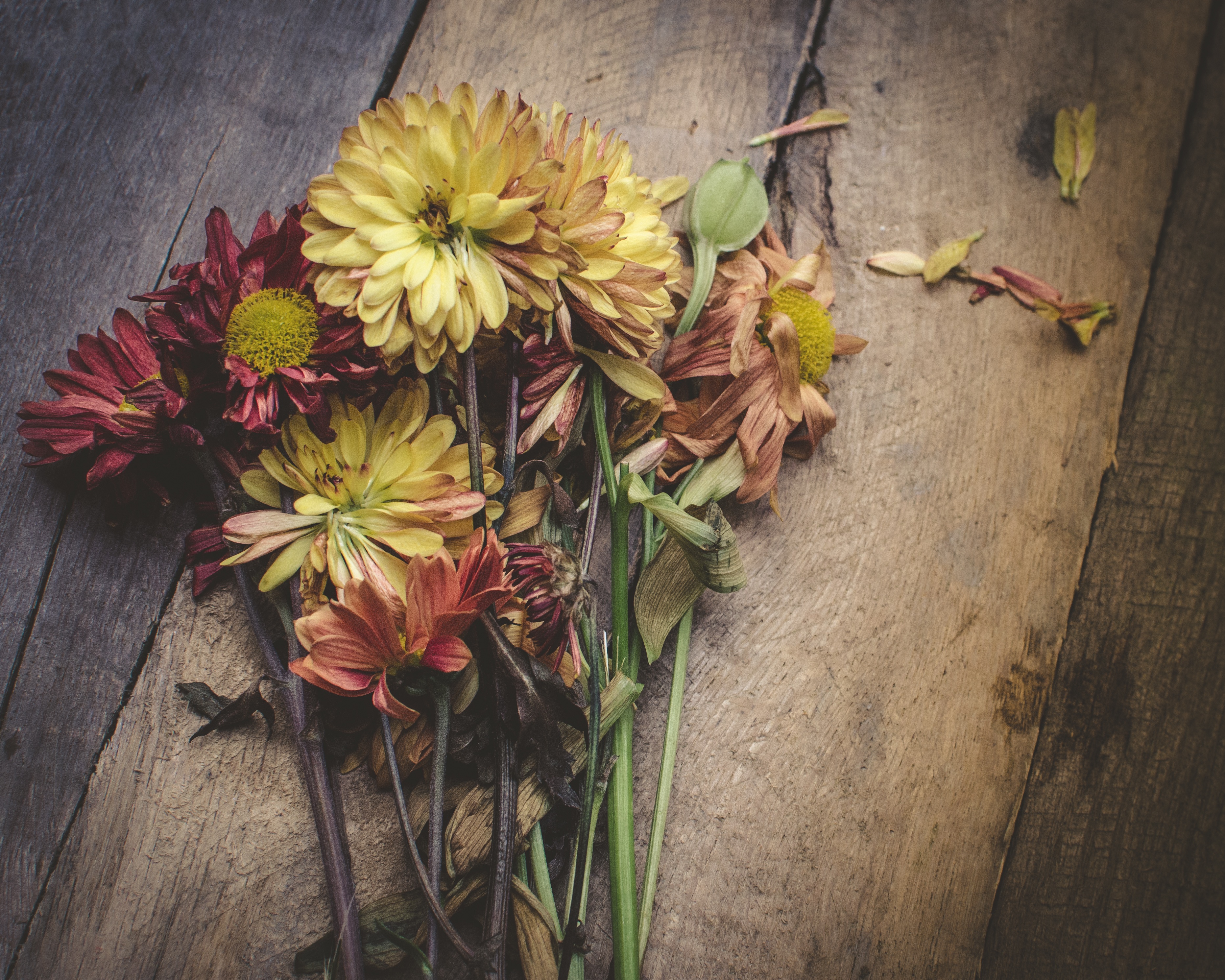 Bouquet HD download for free