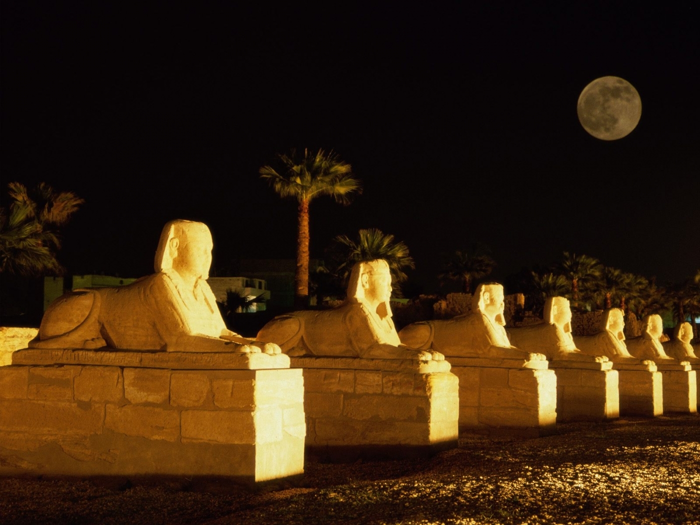 Laden Sie das Landschaft, Übernachtung, Ägypten, Sphinx-Bild kostenlos auf Ihren PC-Desktop herunter