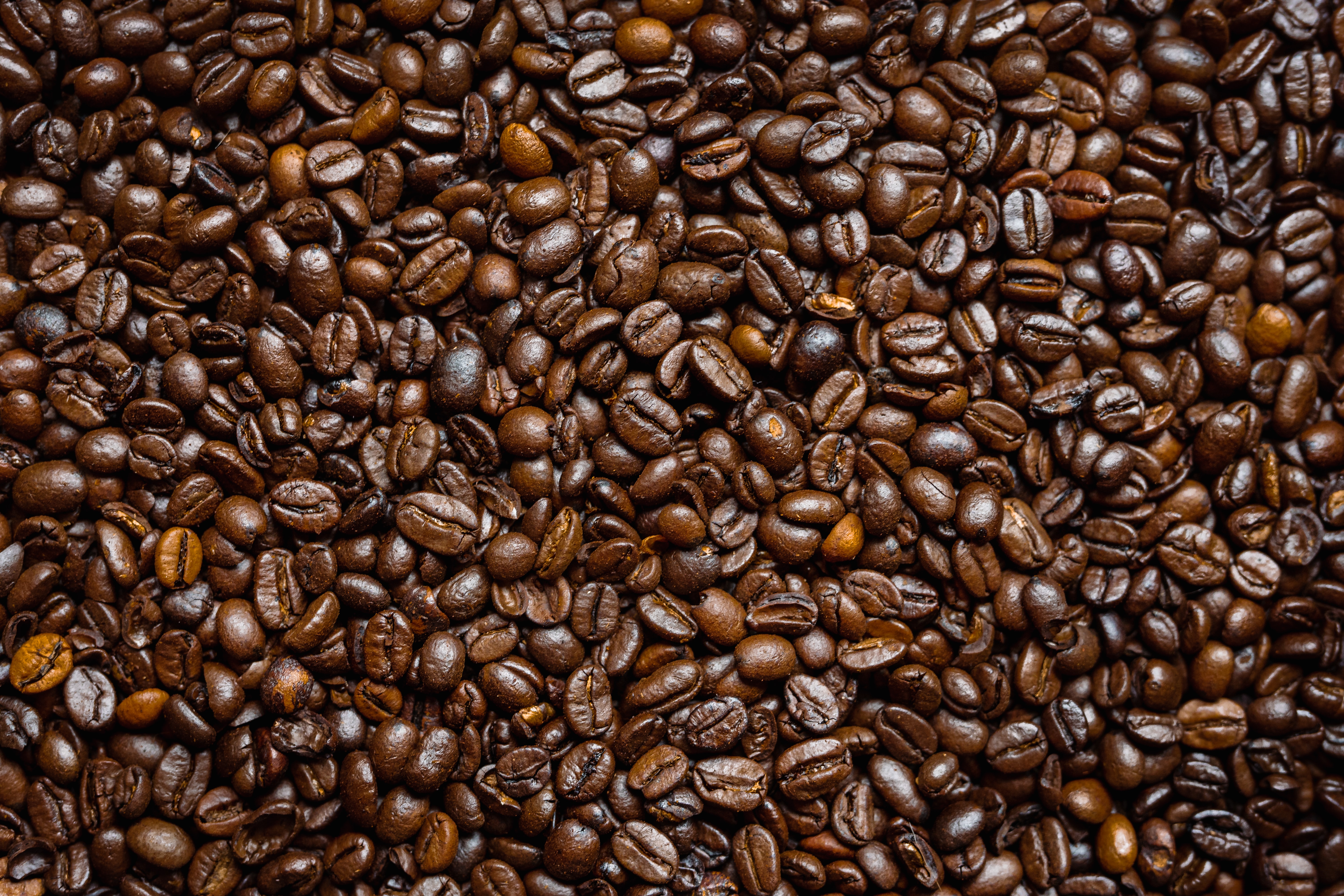 Laden Sie das Lebensmittel, Coffee, Korn, Braun, Getreide, Kaffeebohnen-Bild kostenlos auf Ihren PC-Desktop herunter