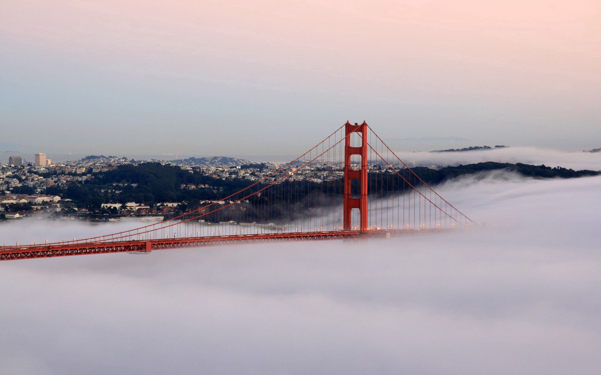 Free Images building, fog, bridge, cities San Francisco