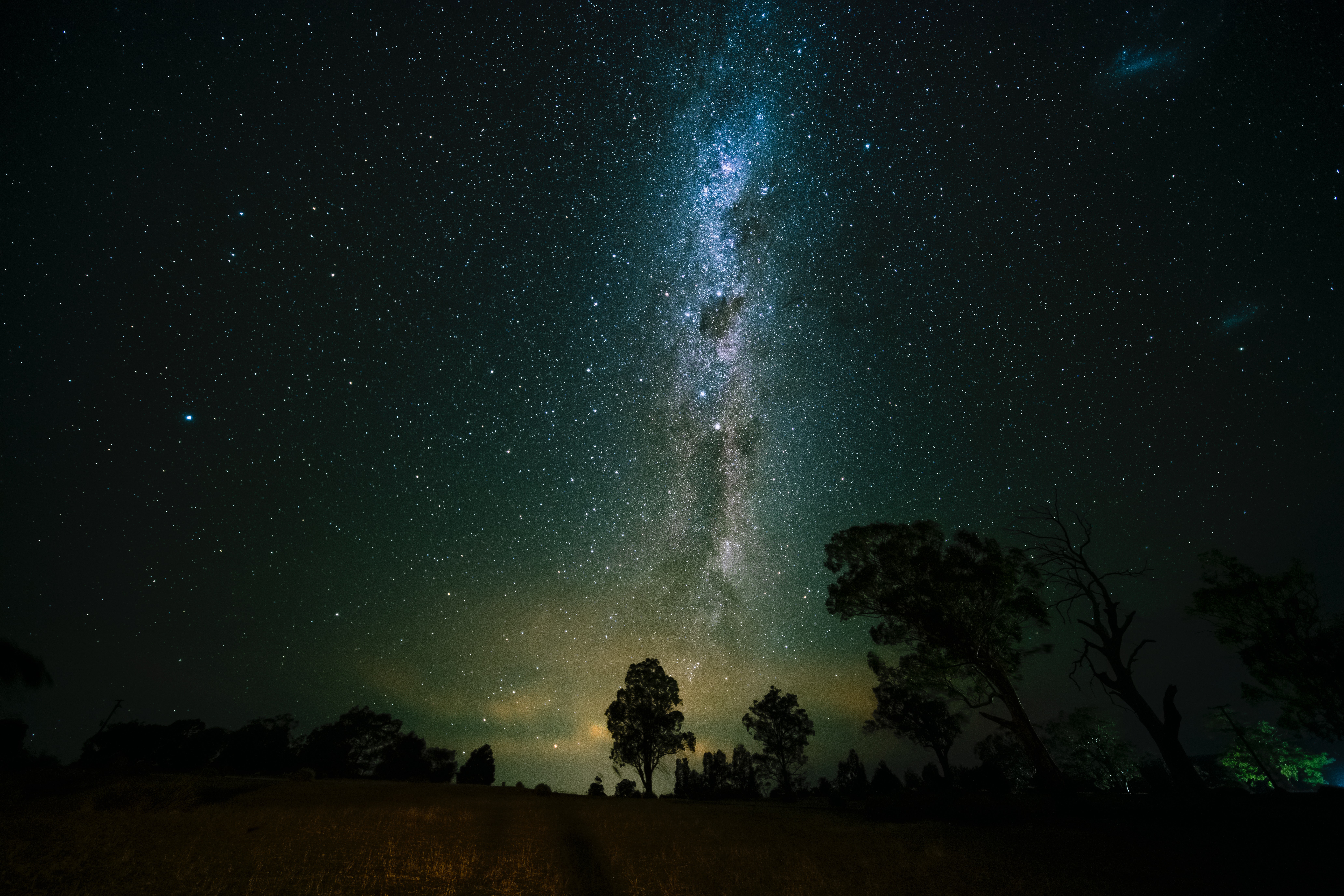 universe, trees, nature, starry sky Free Stock Photo