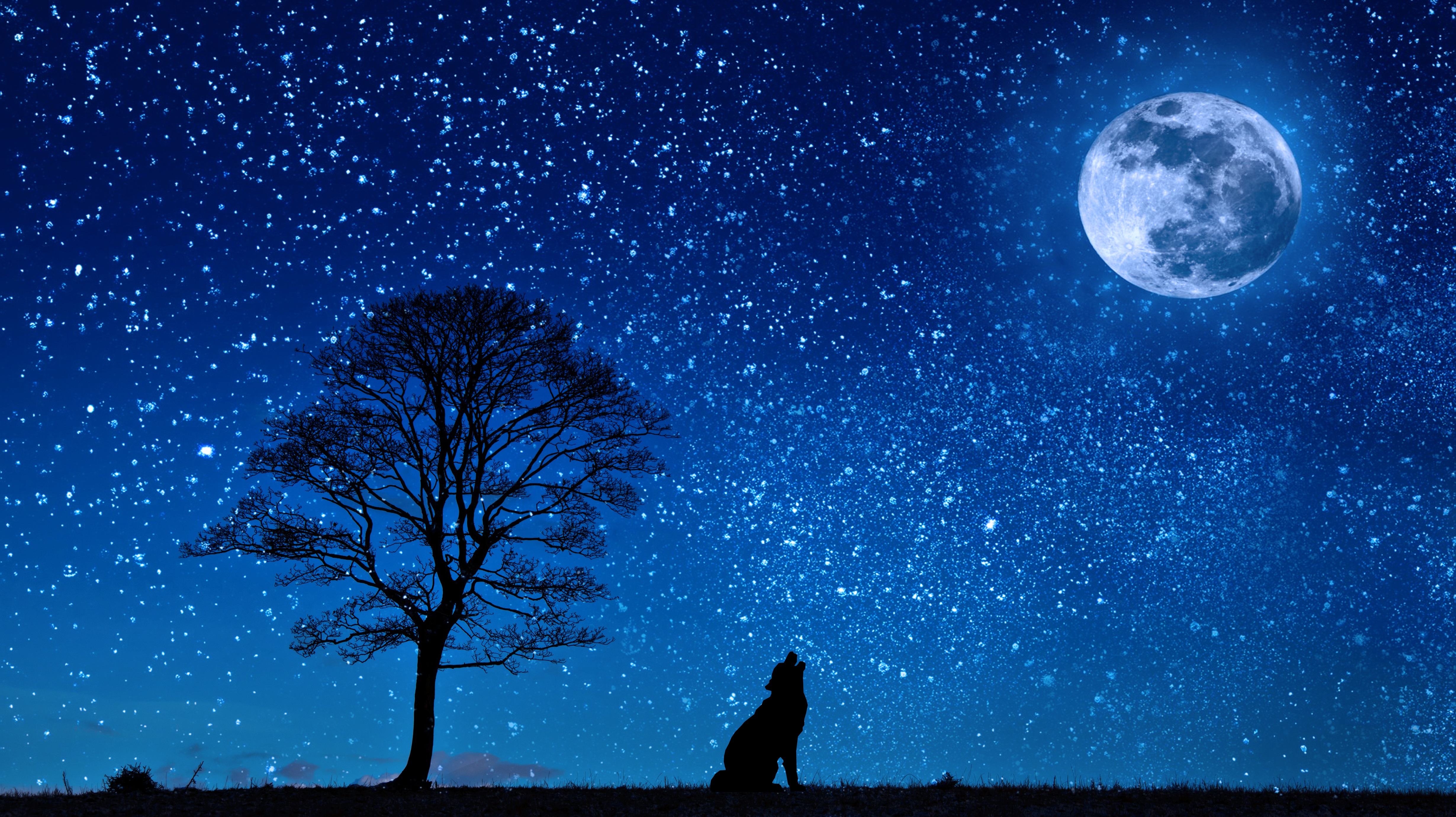 Download mobile wallpaper Wolf, Vector, Moon, Wood, Tree, Starry Sky for free.