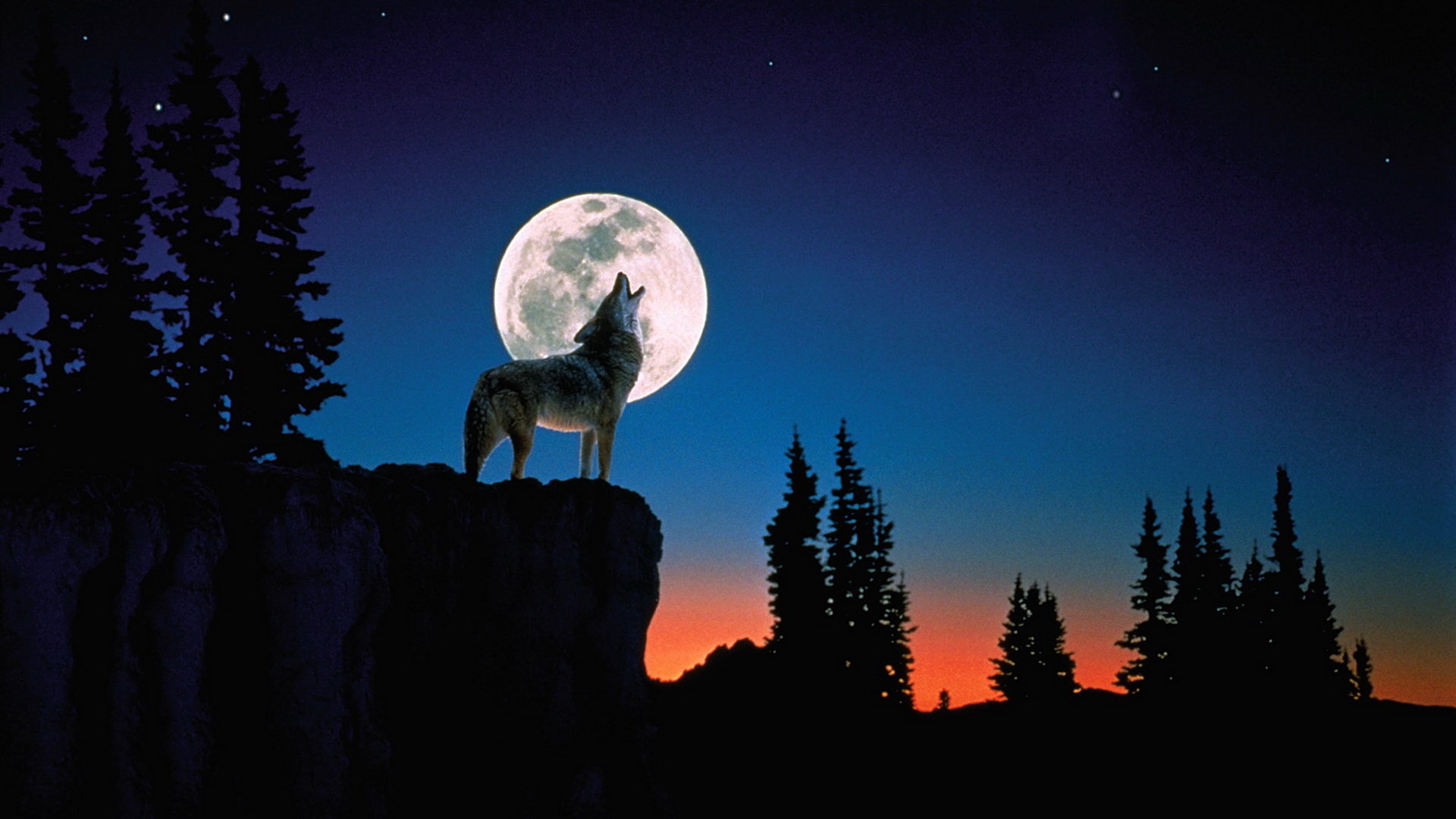 狼 月亮 夜晚 - Pixabay上的免费照片 - Pixabay