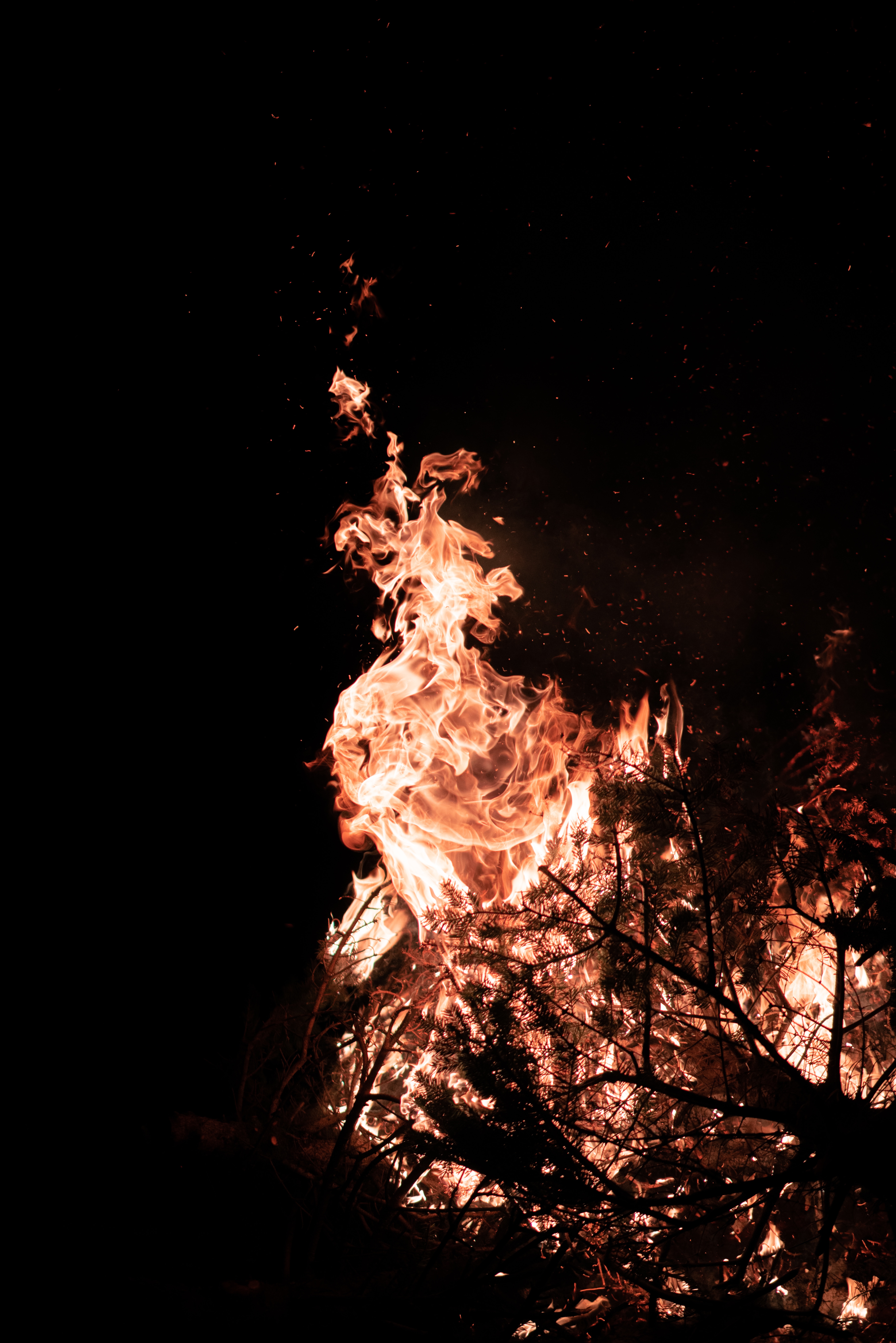 Mobile wallpaper fire, bonfire, dark, flame, branches