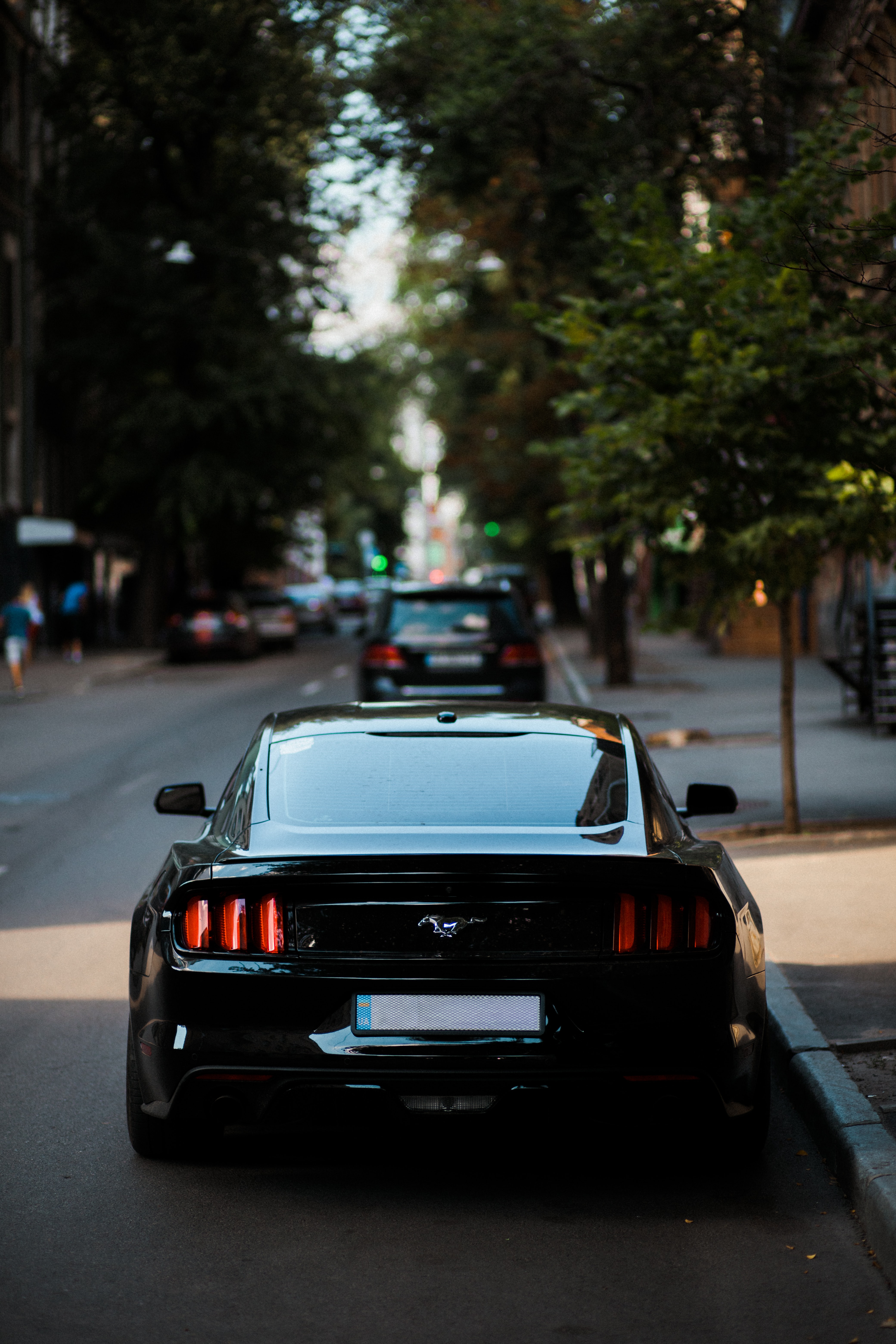 mustang, cars, black, lights, car, back view, rear view, headlights wallpaper for mobile