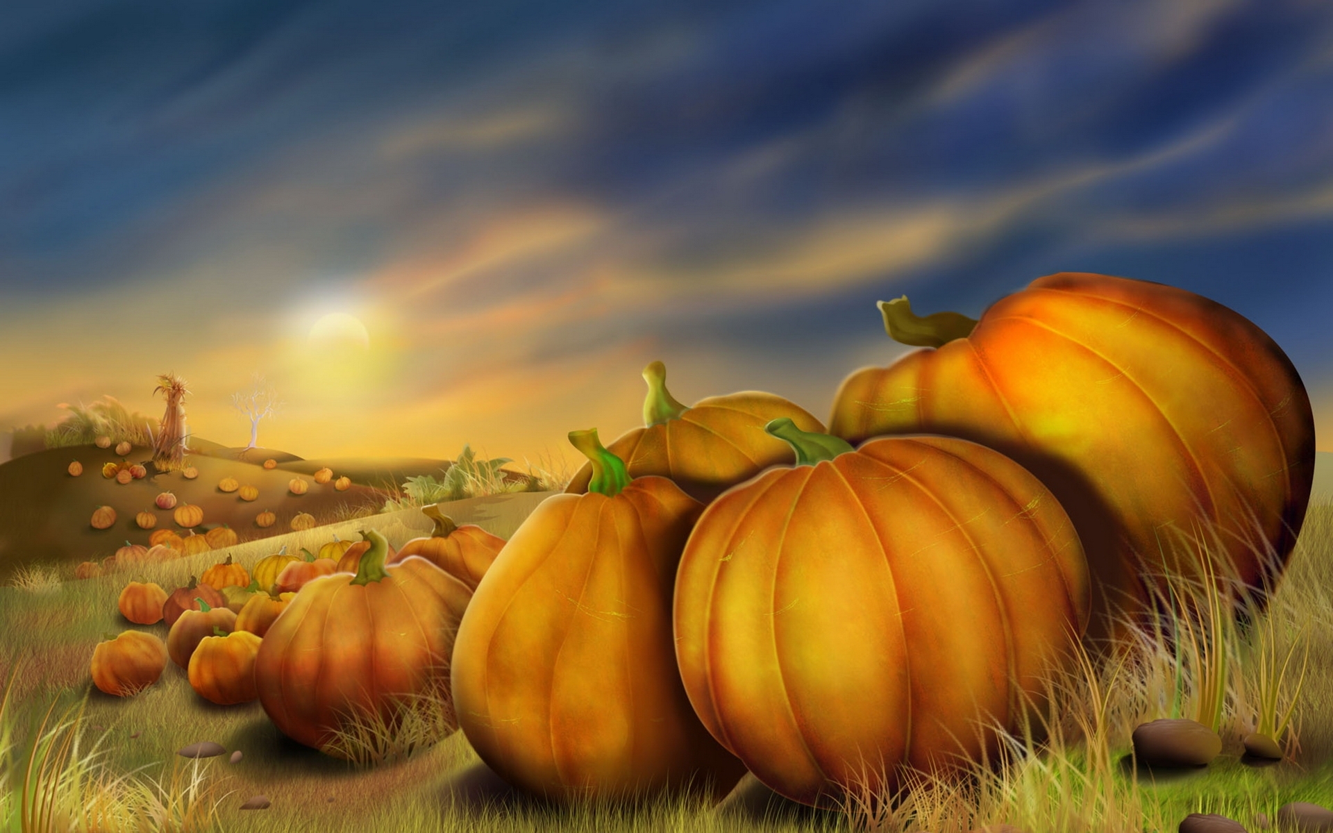 background, vegetables, pictures, pumpkin