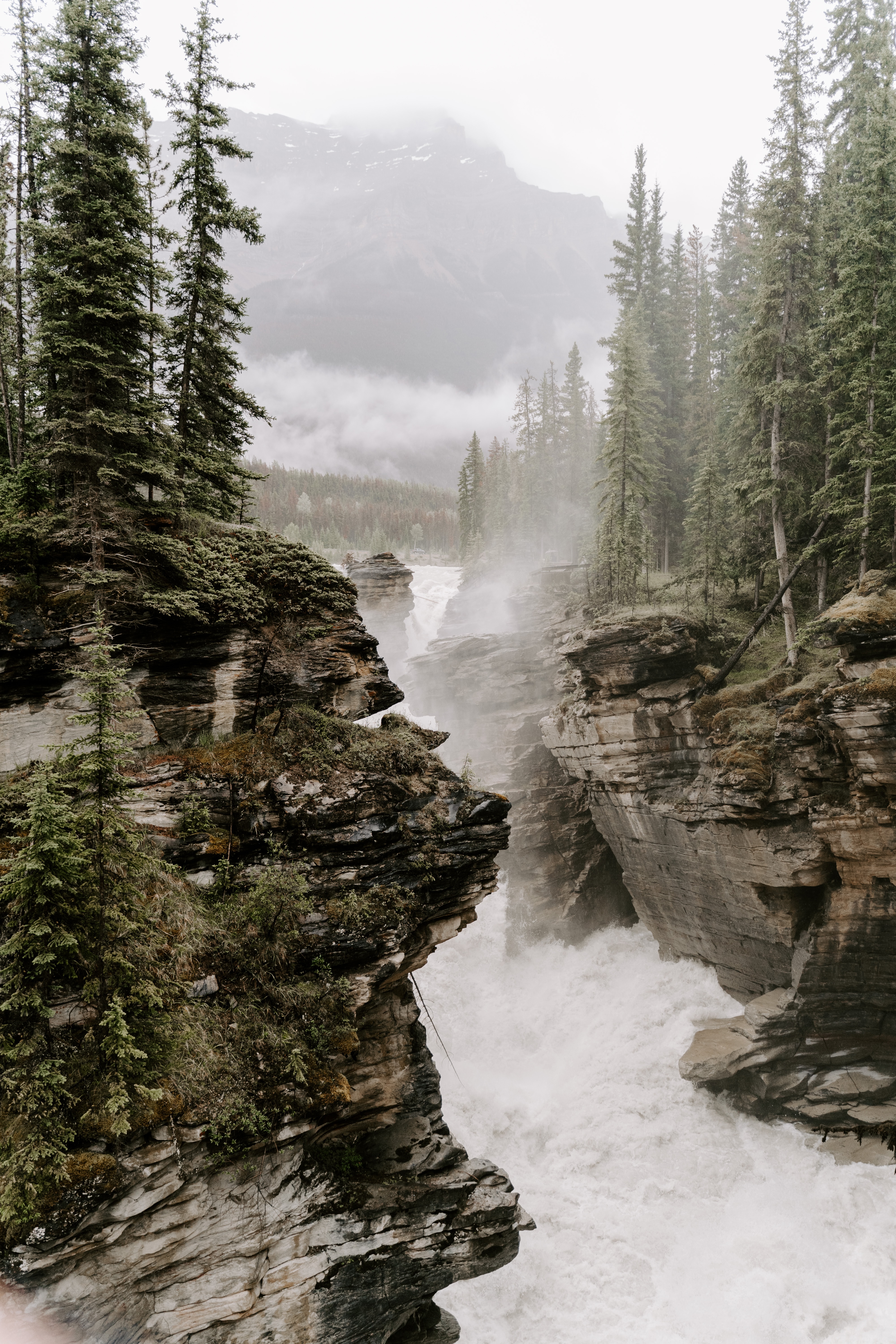 rivers, nature, trees, rocks, fog, cliffs, precipices cellphone