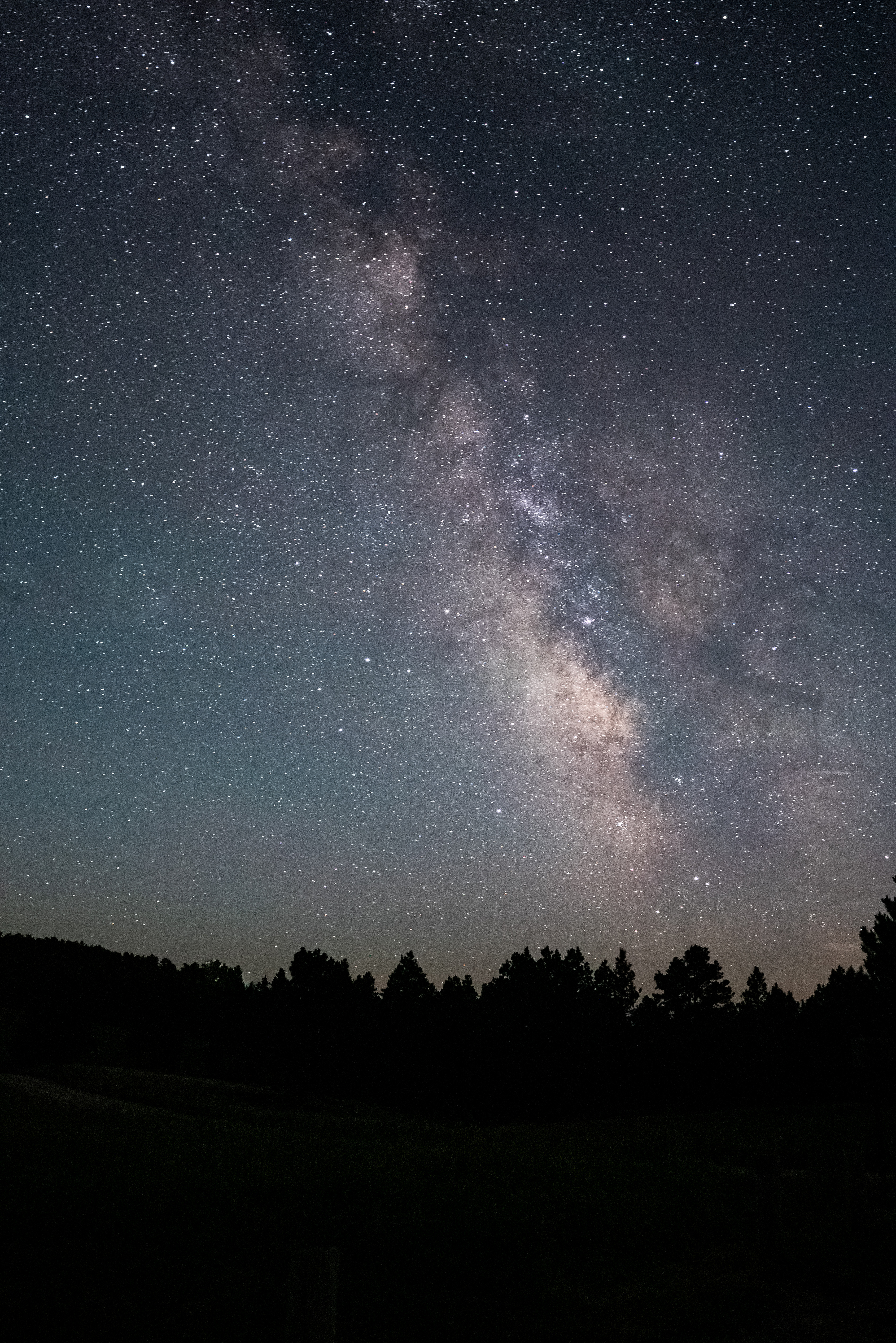 106507 descargar fondo de pantalla estrellas, árboles, noche, oscuro, cielo estrellado: protectores de pantalla e imágenes gratis