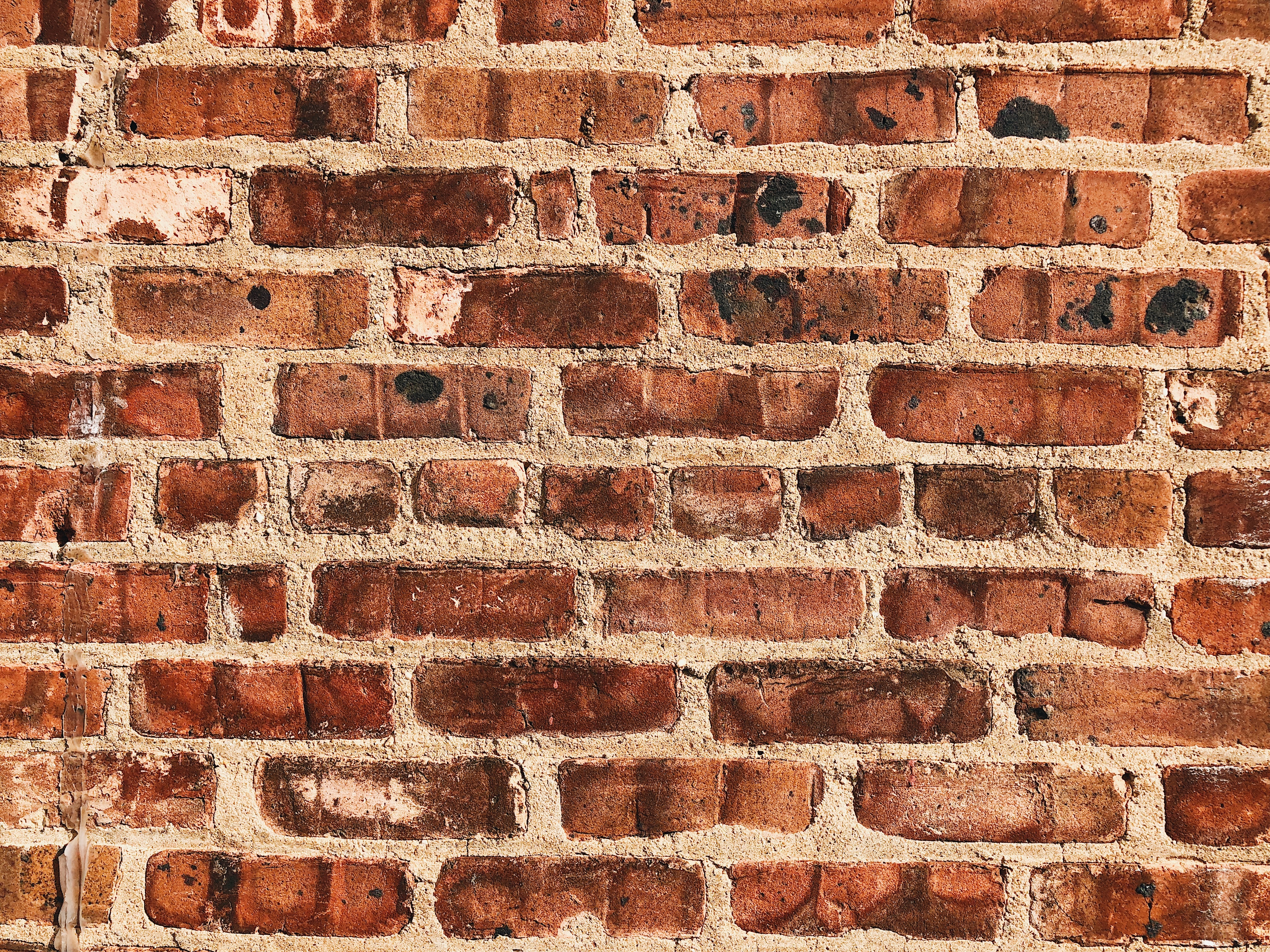 textures, wall, surface, brick, texture phone background
