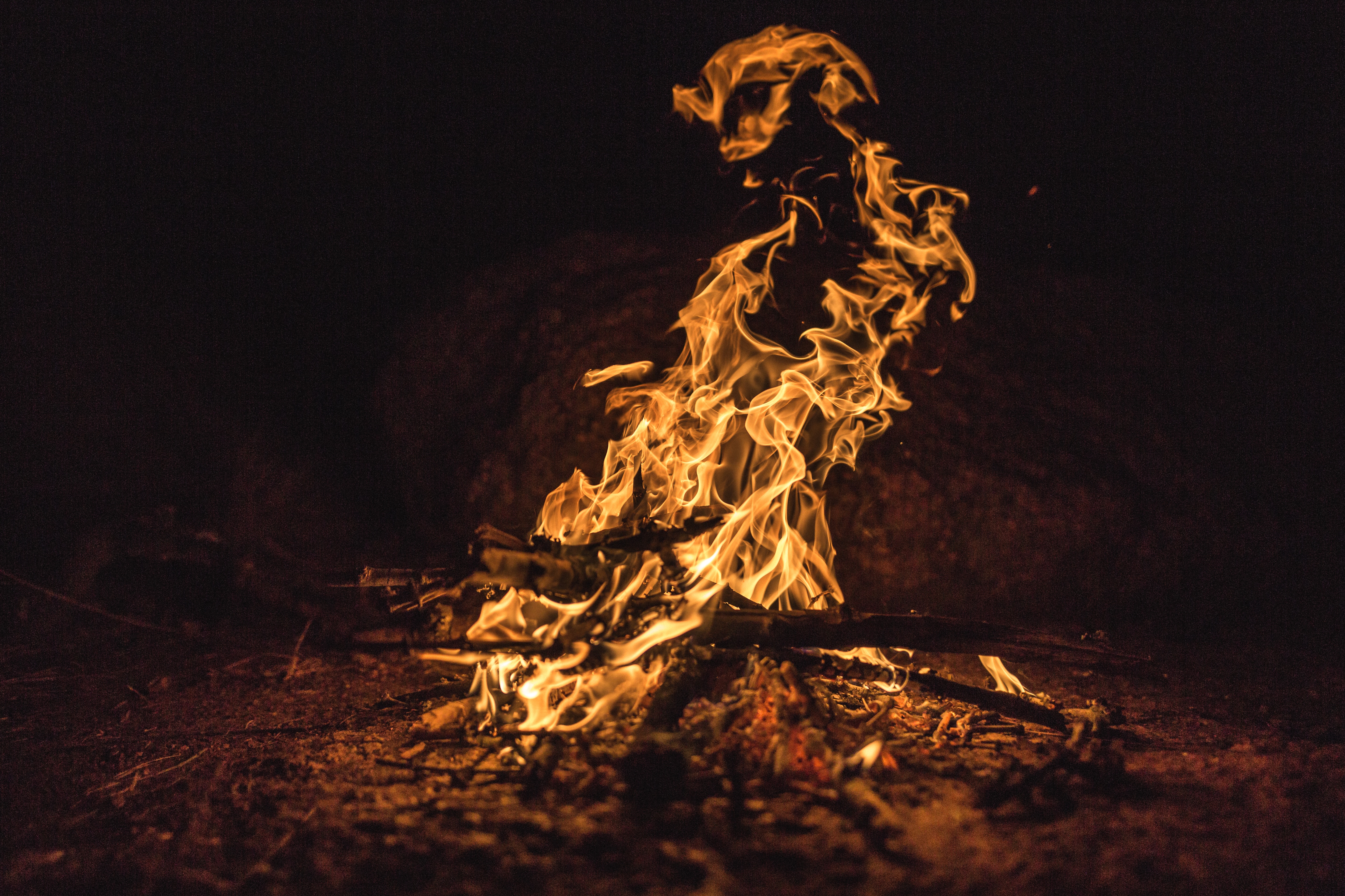 fire, bonfire, dark, flame, firewood, ash download HD wallpaper