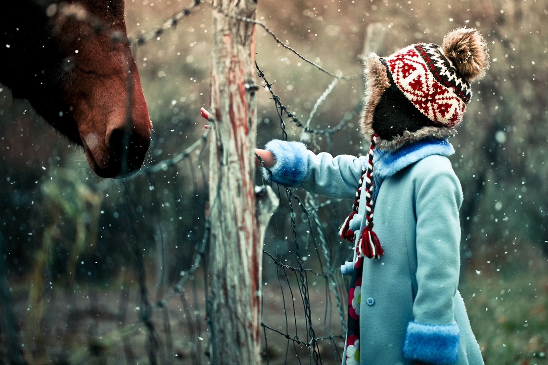 winter, snow, miscellanea, miscellaneous, child, horse, curiosity