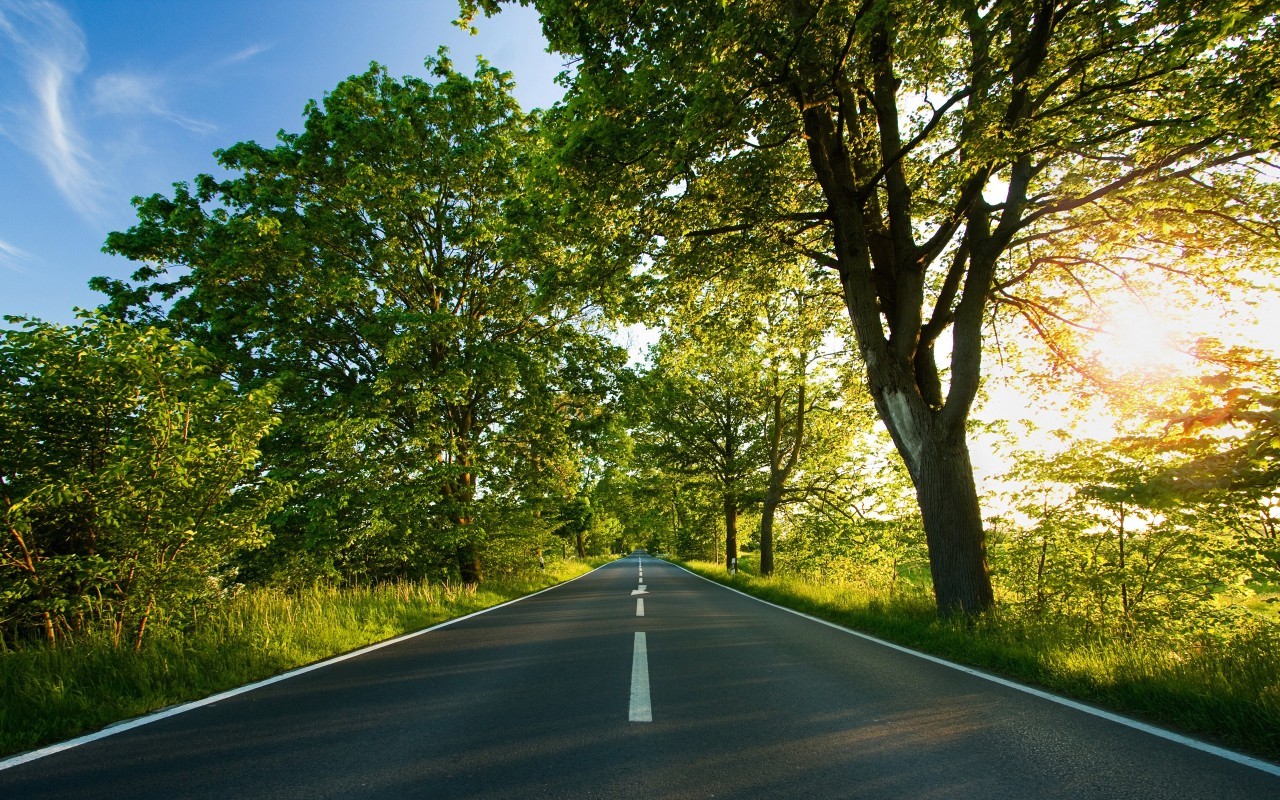 roads, landscape, trees HD wallpaper