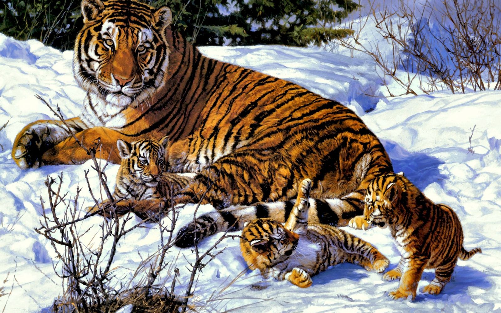 Магические тигры картинки